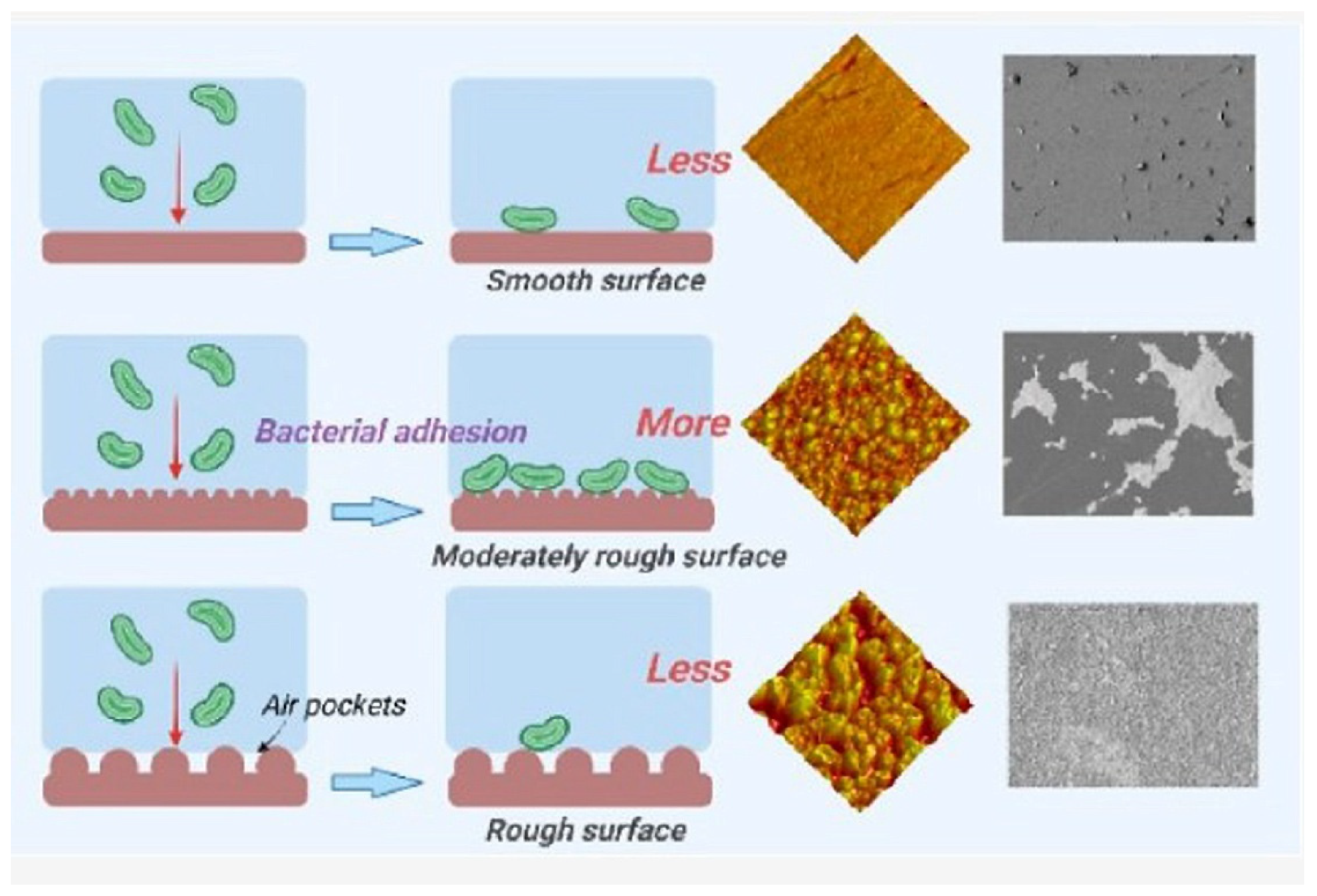 Marinedrugs 23 00321 g007