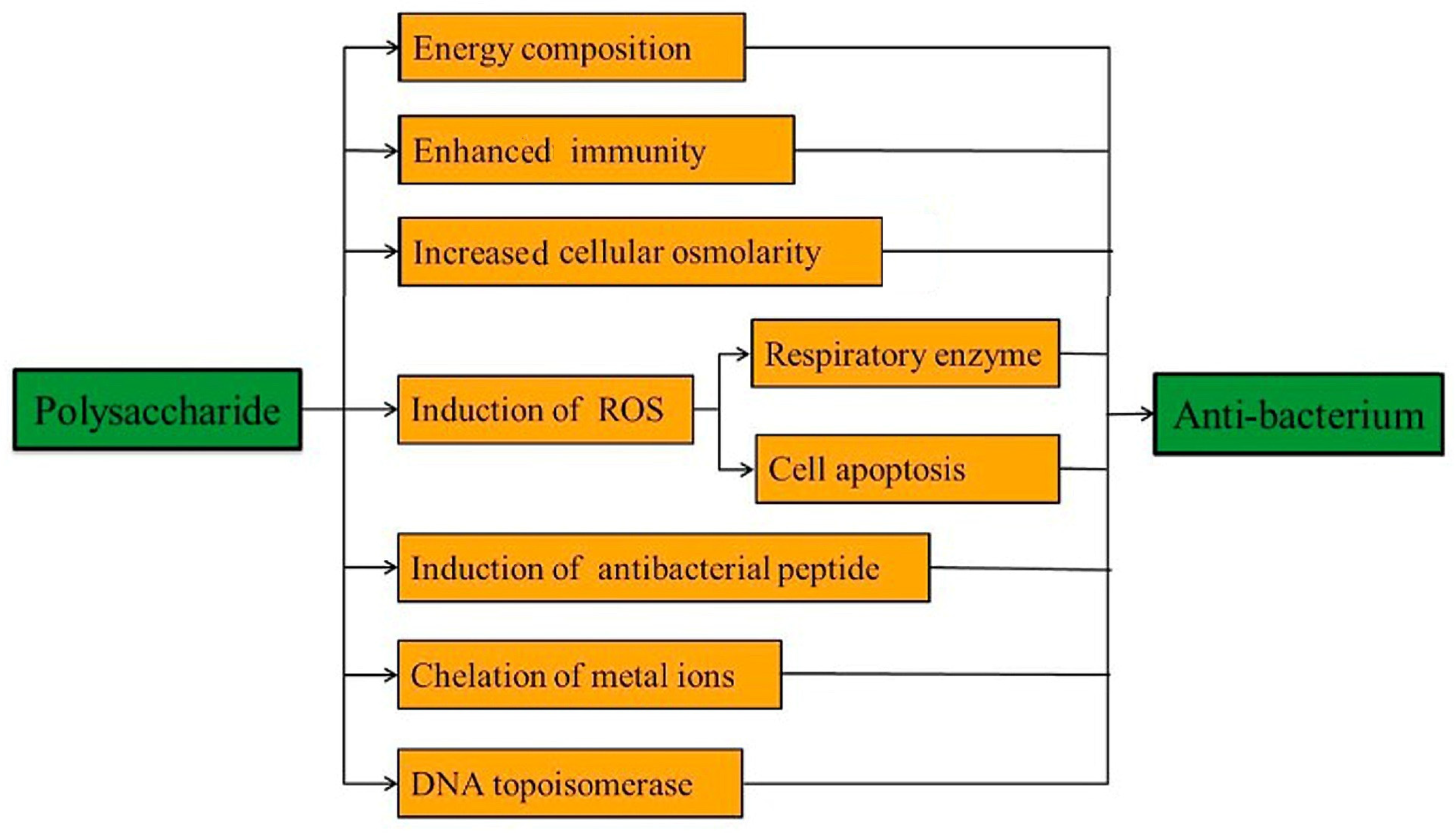 Marinedrugs 23 00321 g013