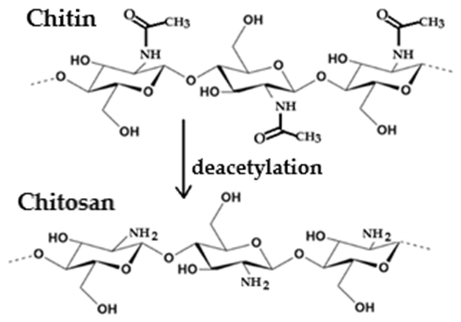 Marinedrugs 23 00321 g014