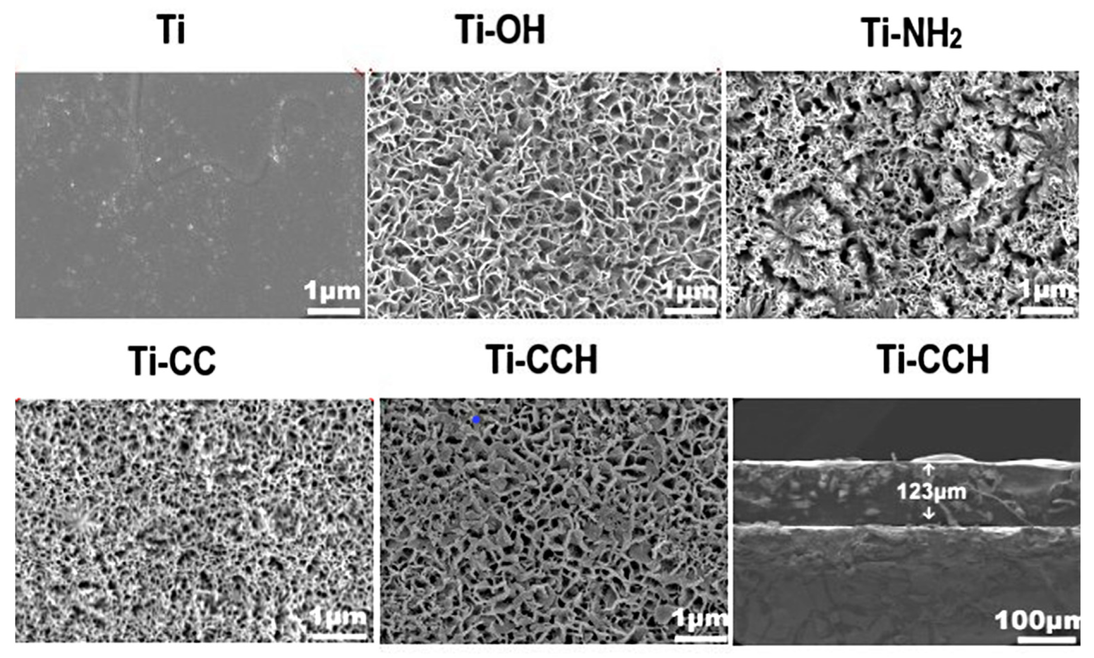 Marinedrugs 23 00321 g028