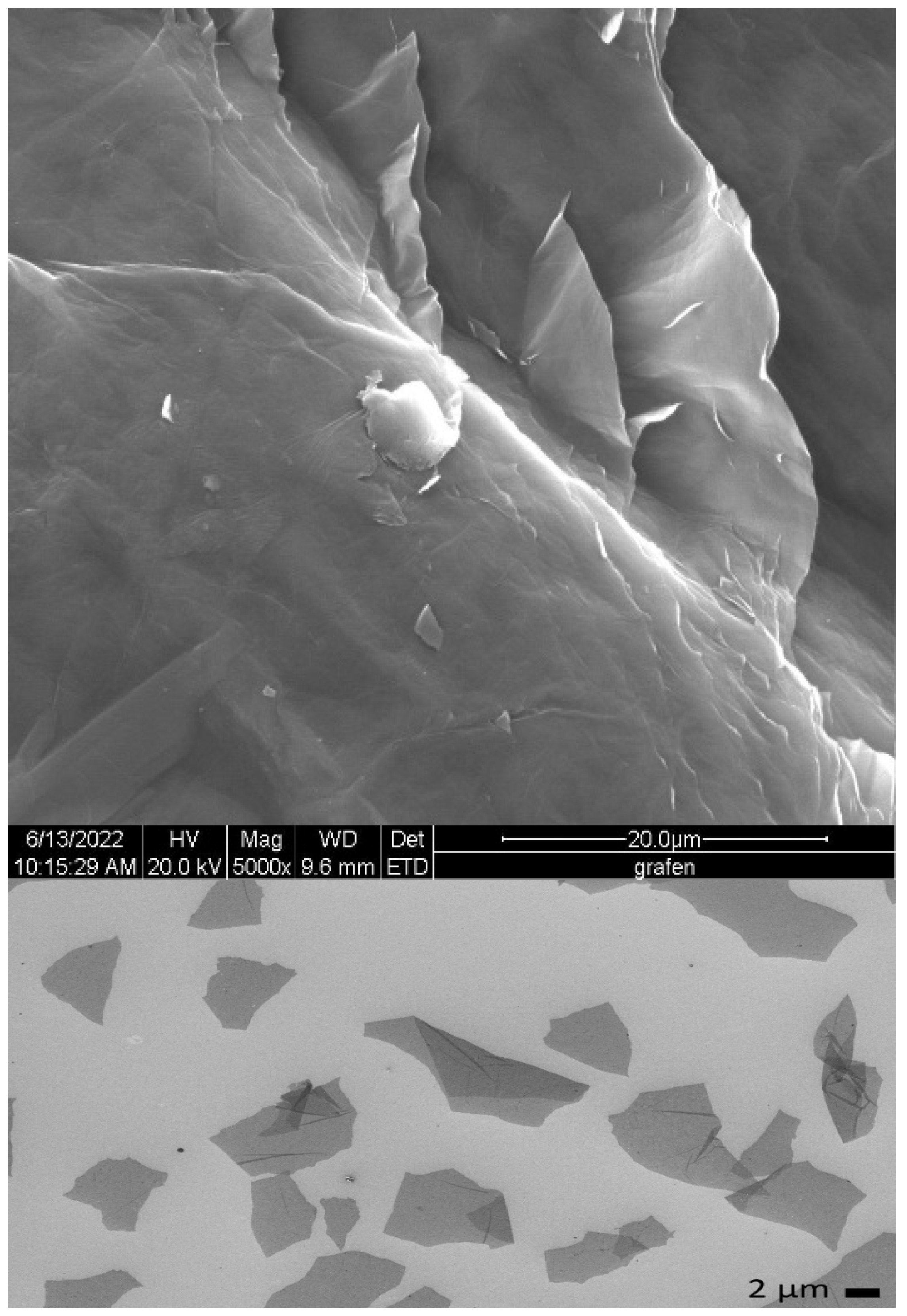 Marinedrugs 23 00323 g017