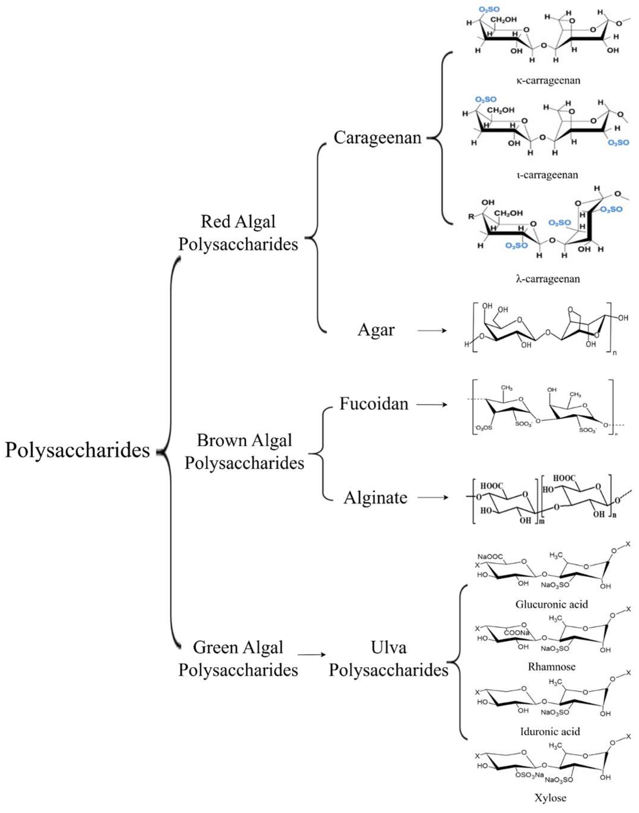 Marinedrugs 23 00324 g002