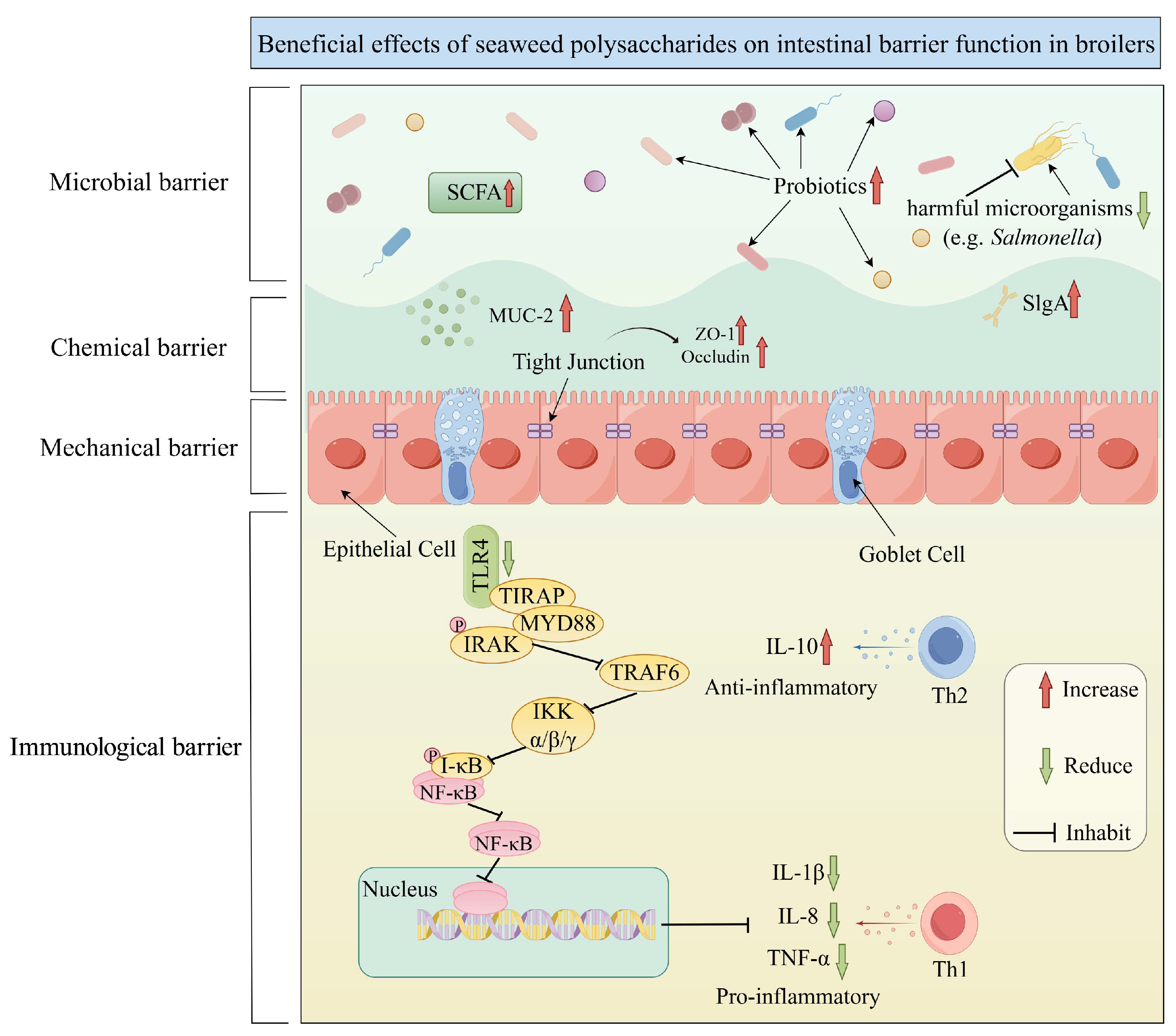 Marinedrugs 23 00324 g003