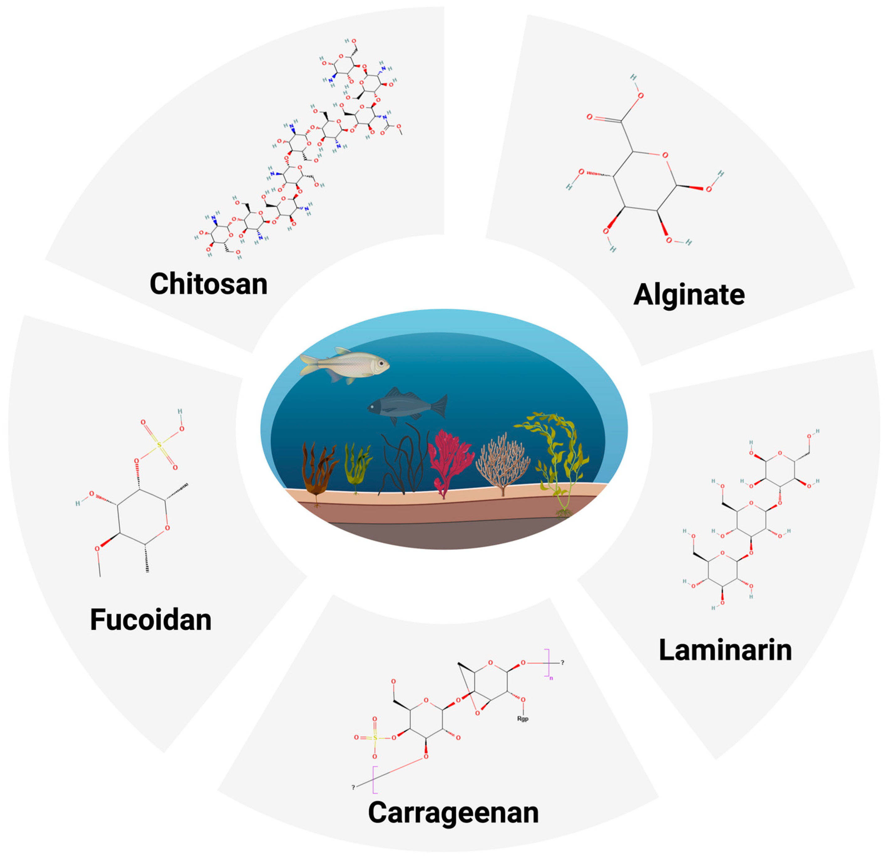 Marinedrugs 23 00325 g001 Marinedrugs 23 00325 g001