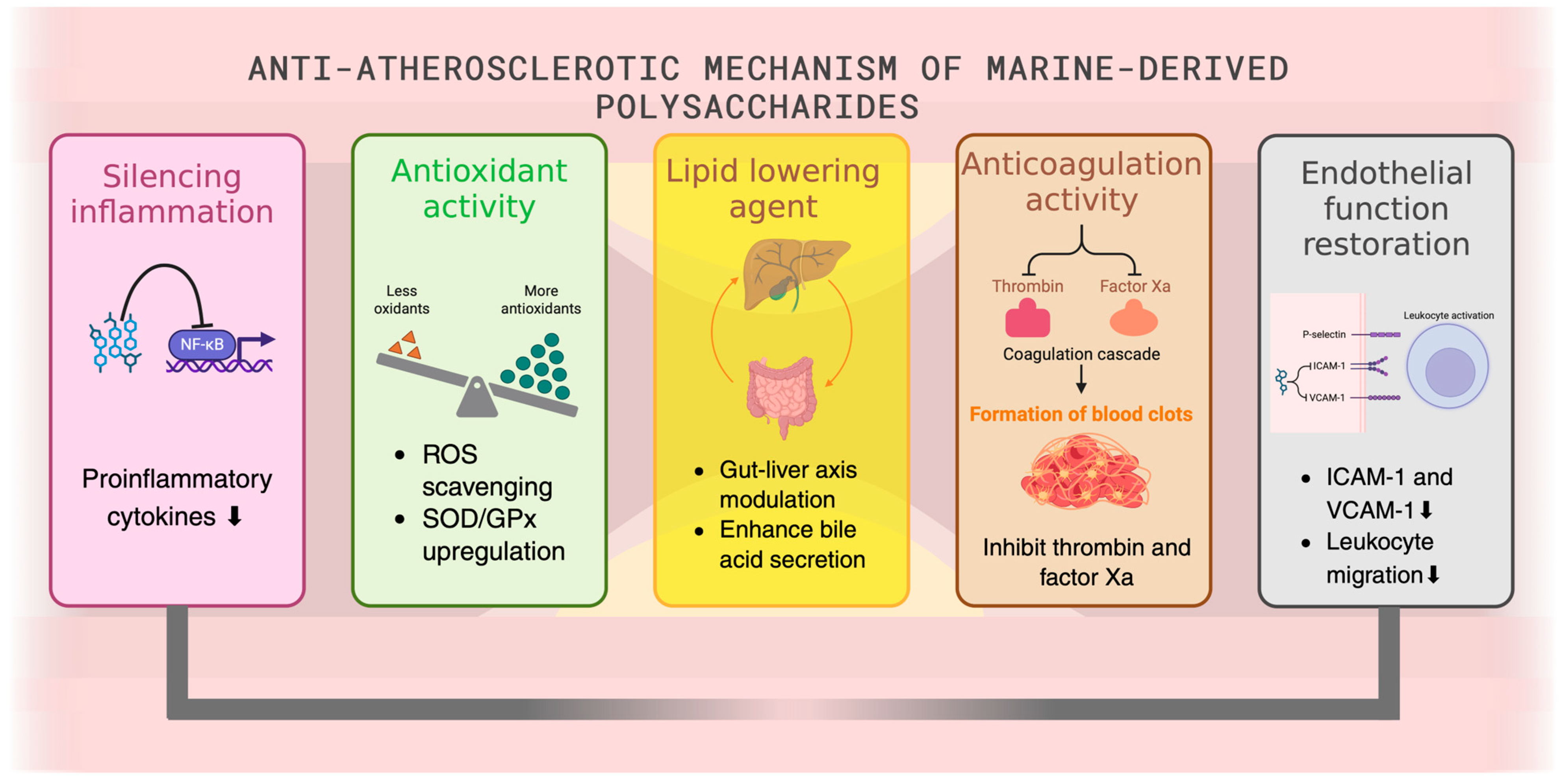 Marinedrugs 23 00325 g002 Marinedrugs 23 00325 g002