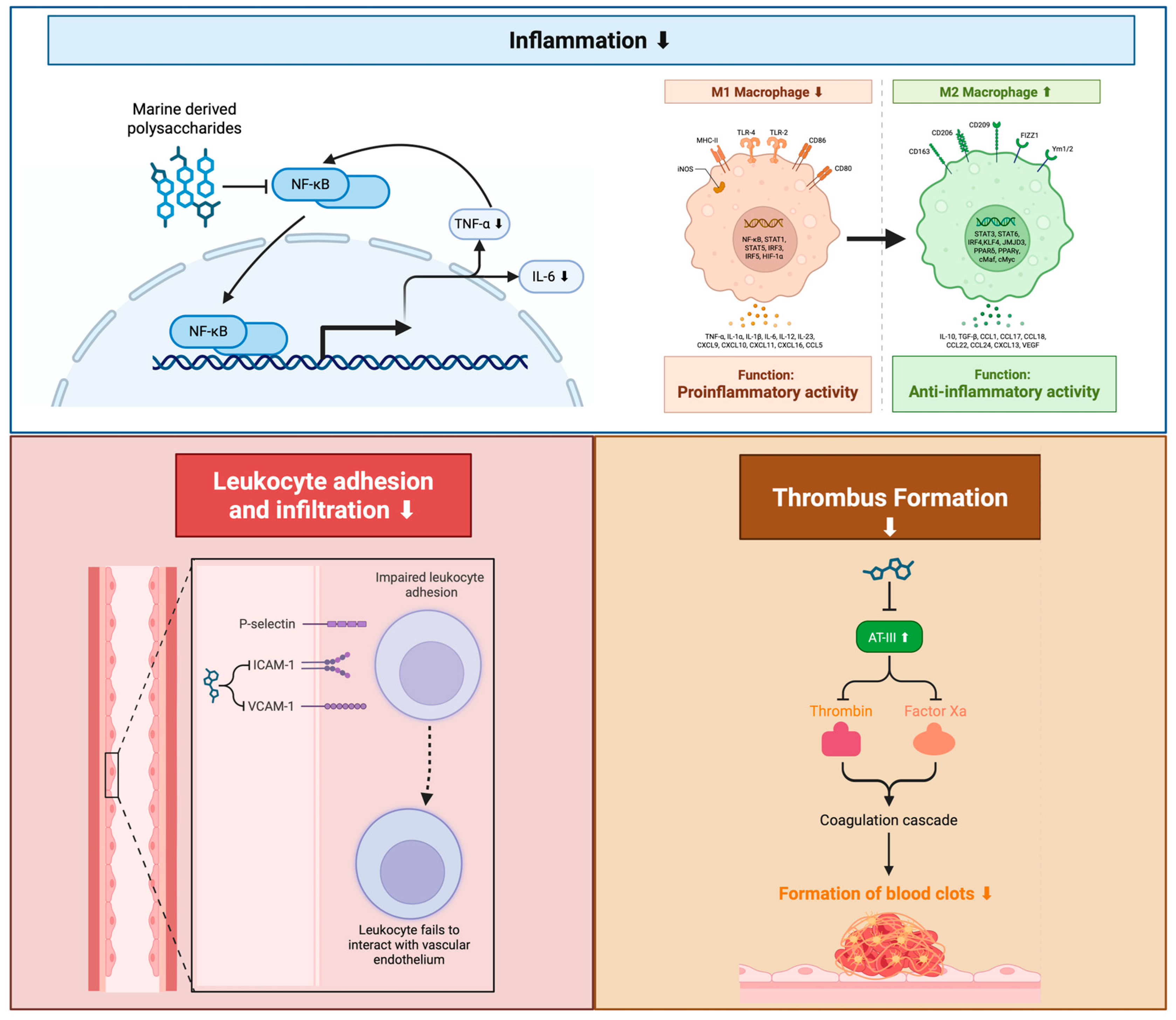 Marinedrugs 23 00325 g003 Marinedrugs 23 00325 g003