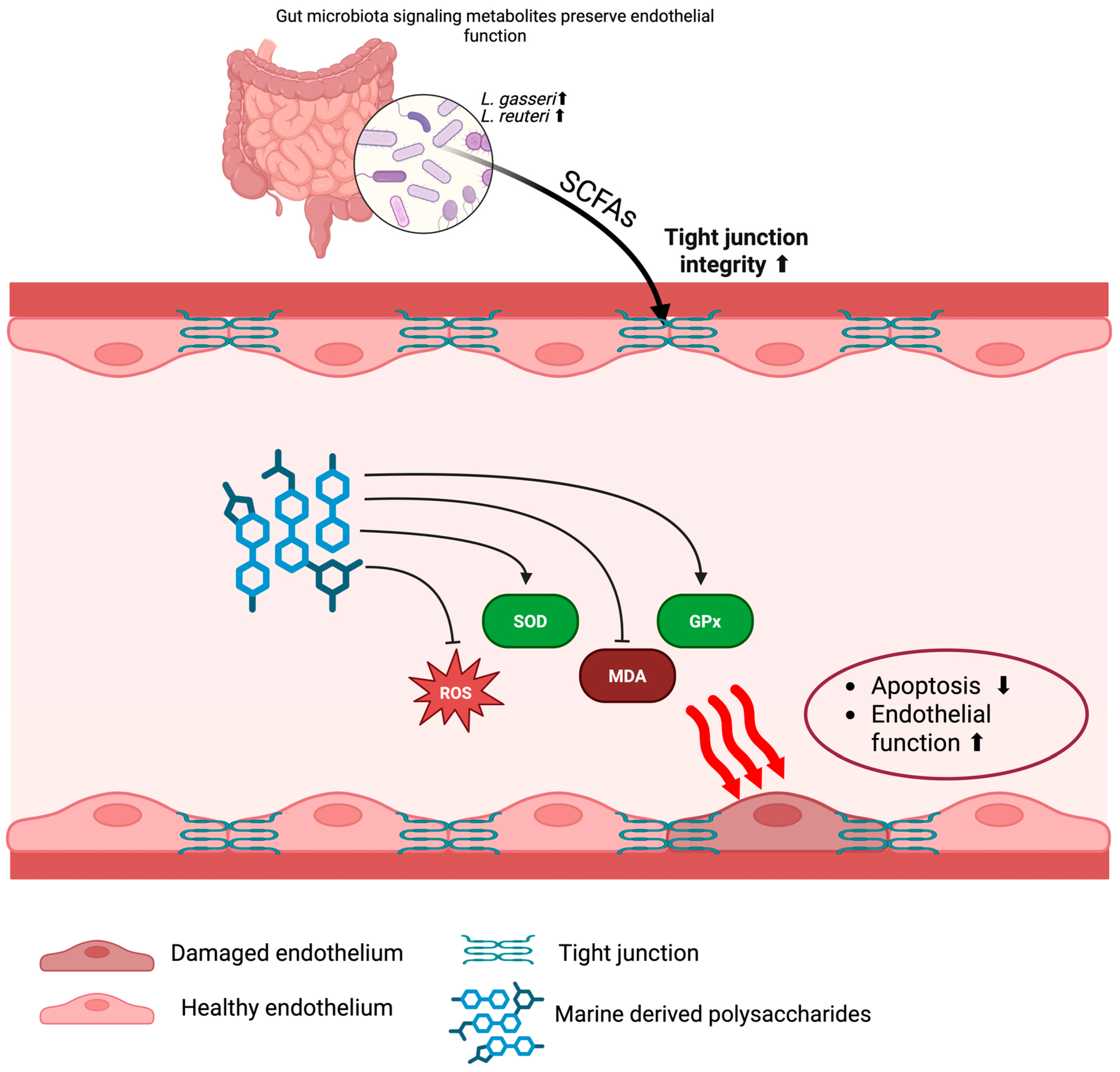 Marinedrugs 23 00325 g004 Marinedrugs 23 00325 g004