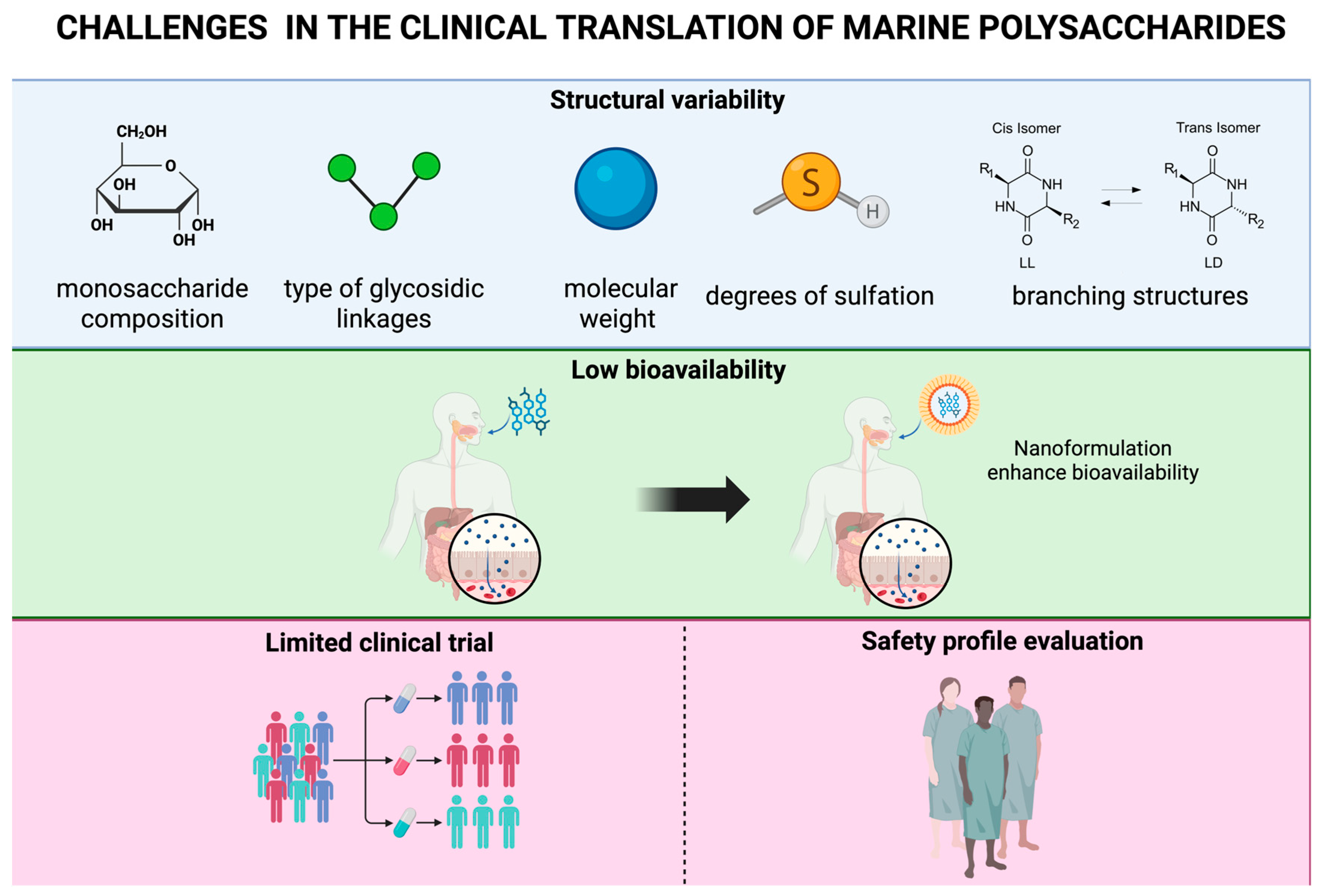 Marinedrugs 23 00325 g005 Marinedrugs 23 00325 g005