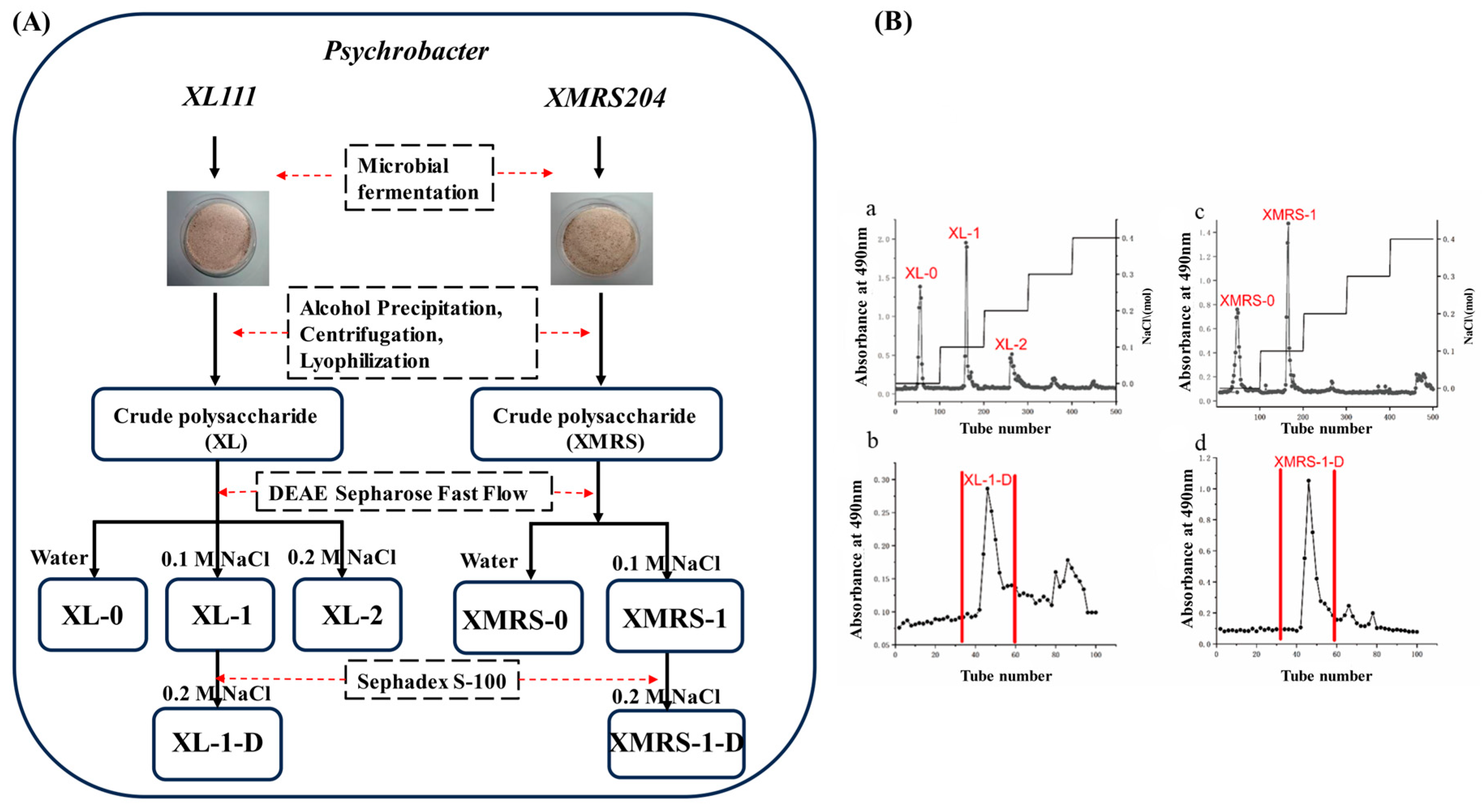 Marinedrugs 23 00326 g001