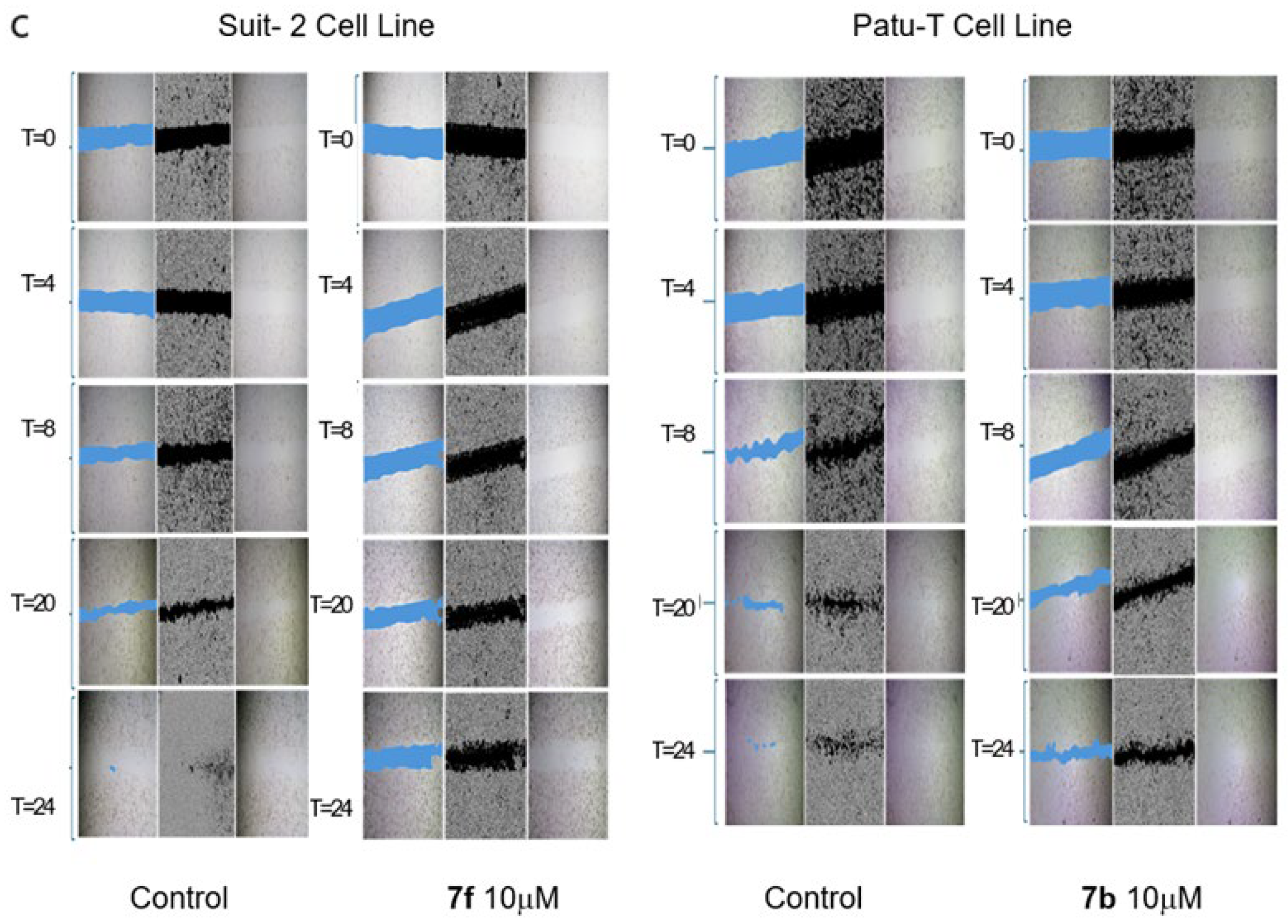 Marinedrugs 23 00327 g004b Marinedrugs 23 00327 g004b
