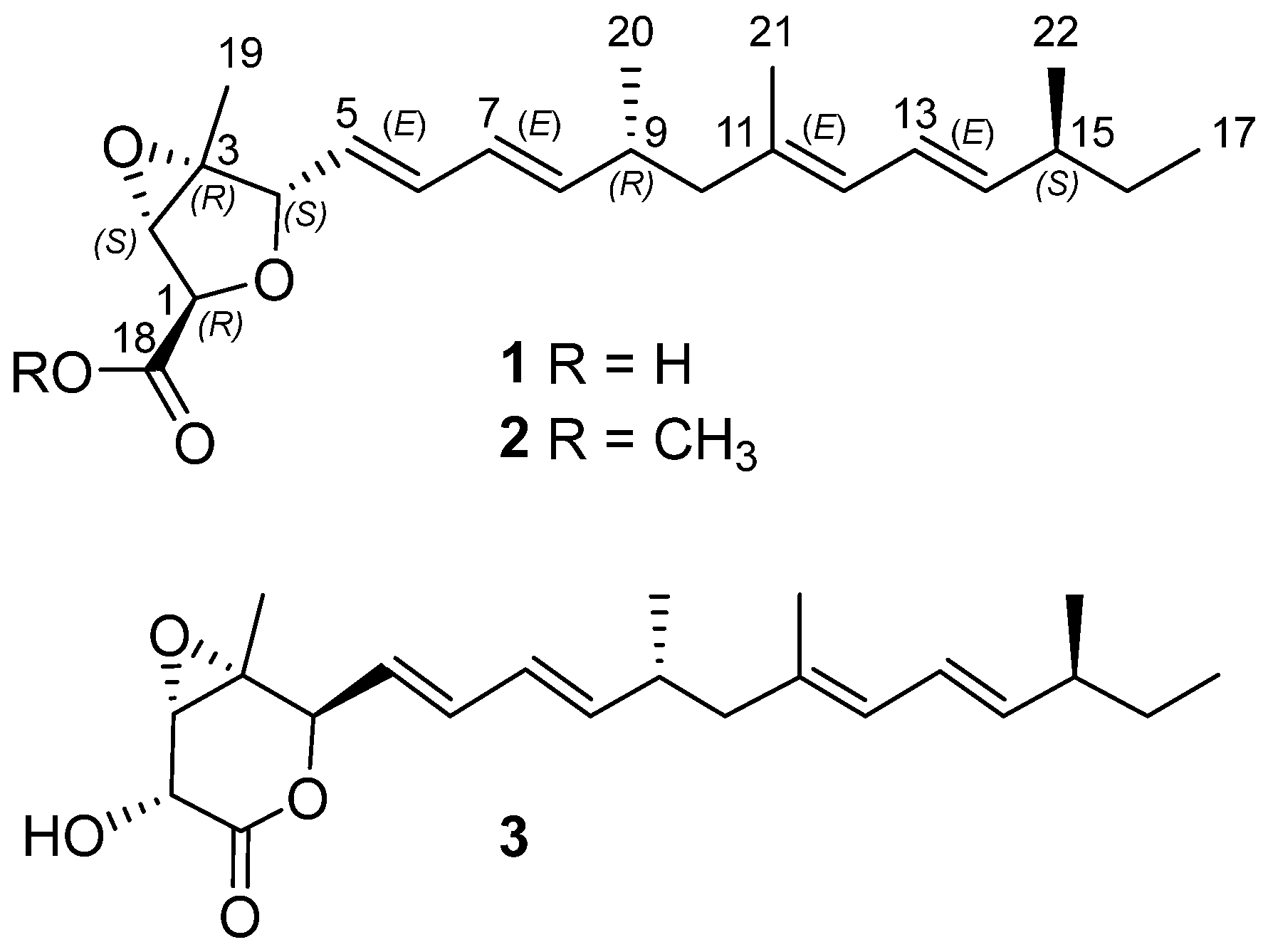 Marinedrugs 23 00329 g001 Marinedrugs 23 00329 g001