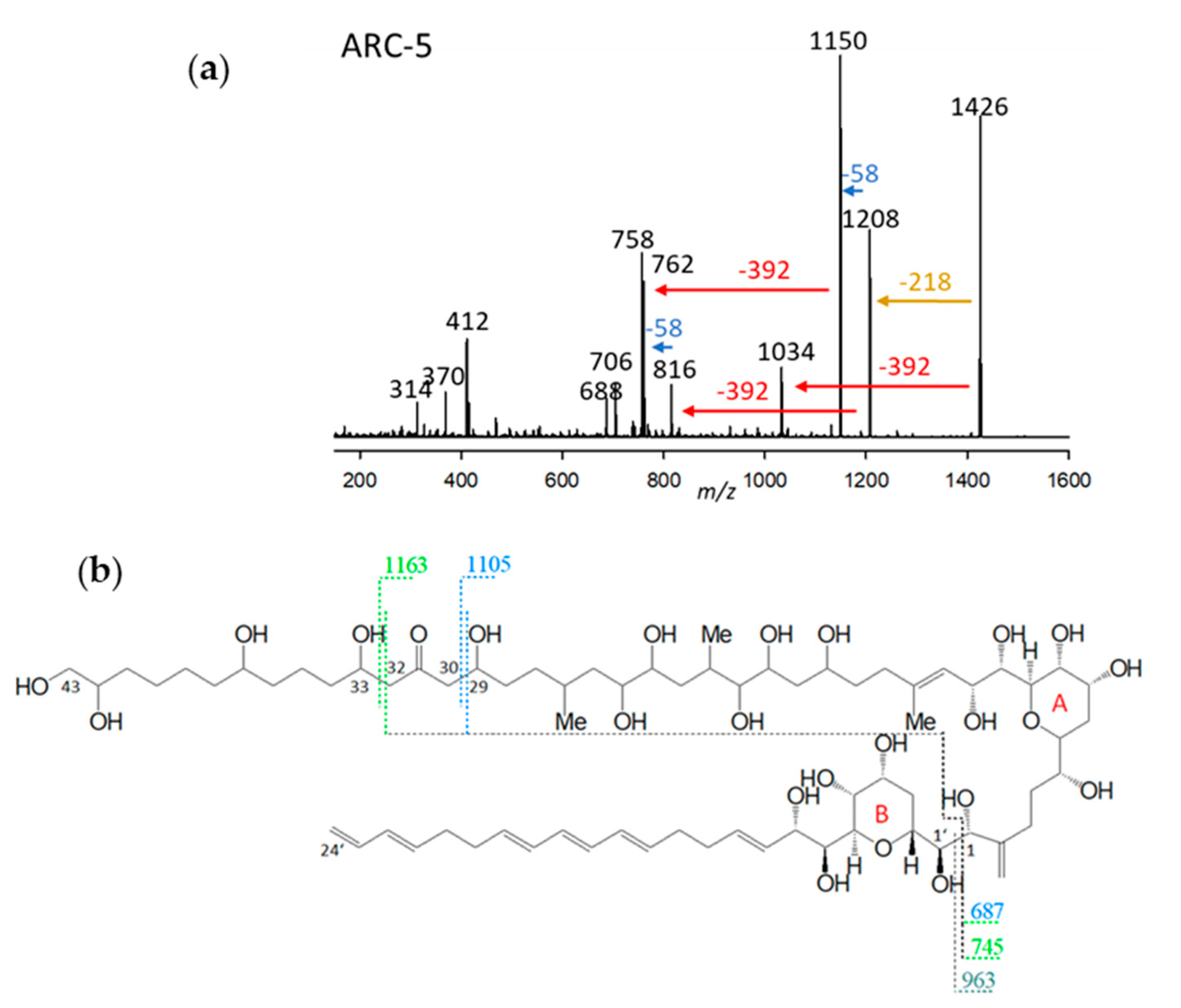 Marinedrugs 23 00332 g005 Marinedrugs 23 00332 g005