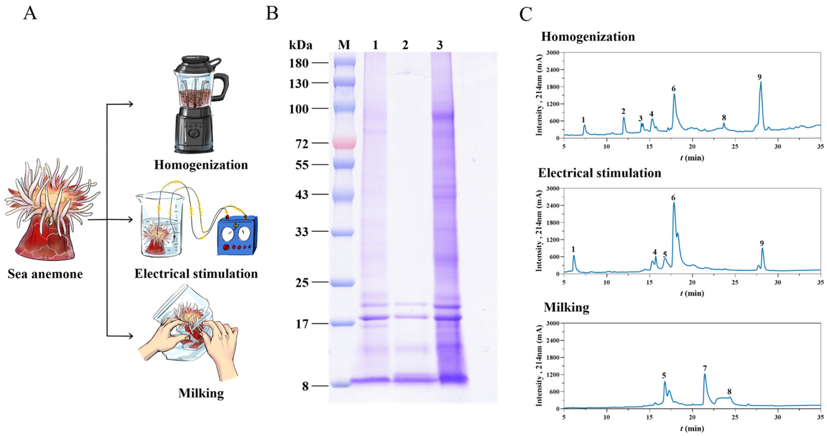 Marinedrugs 23 00333 g001 Marinedrugs 23 00333 g001