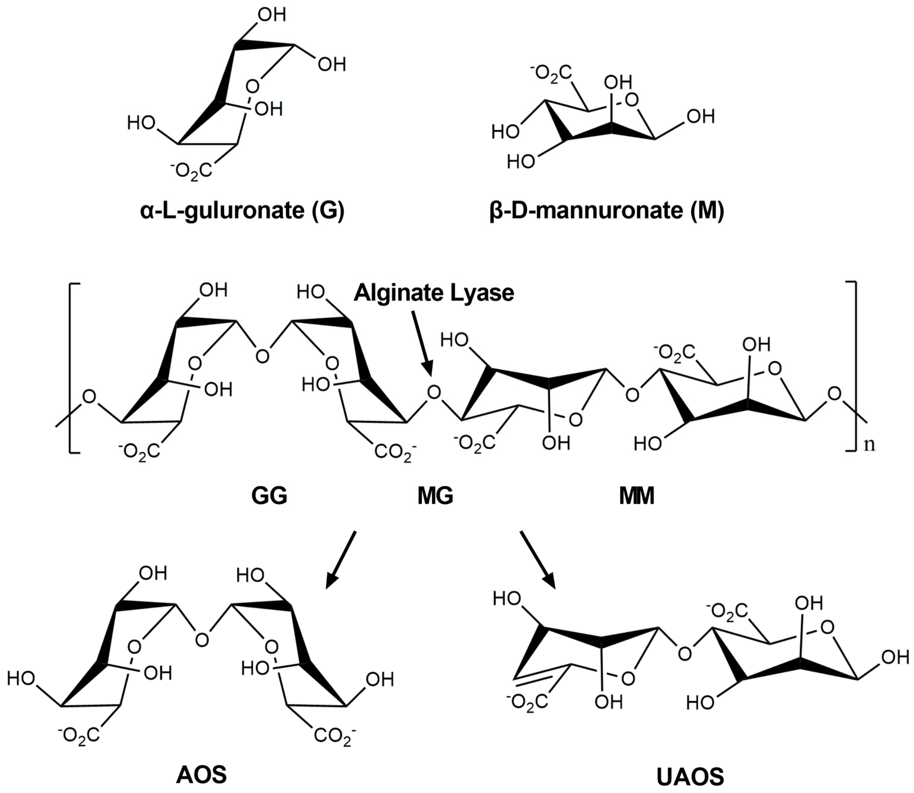 Marinedrugs 23 00334 g001
