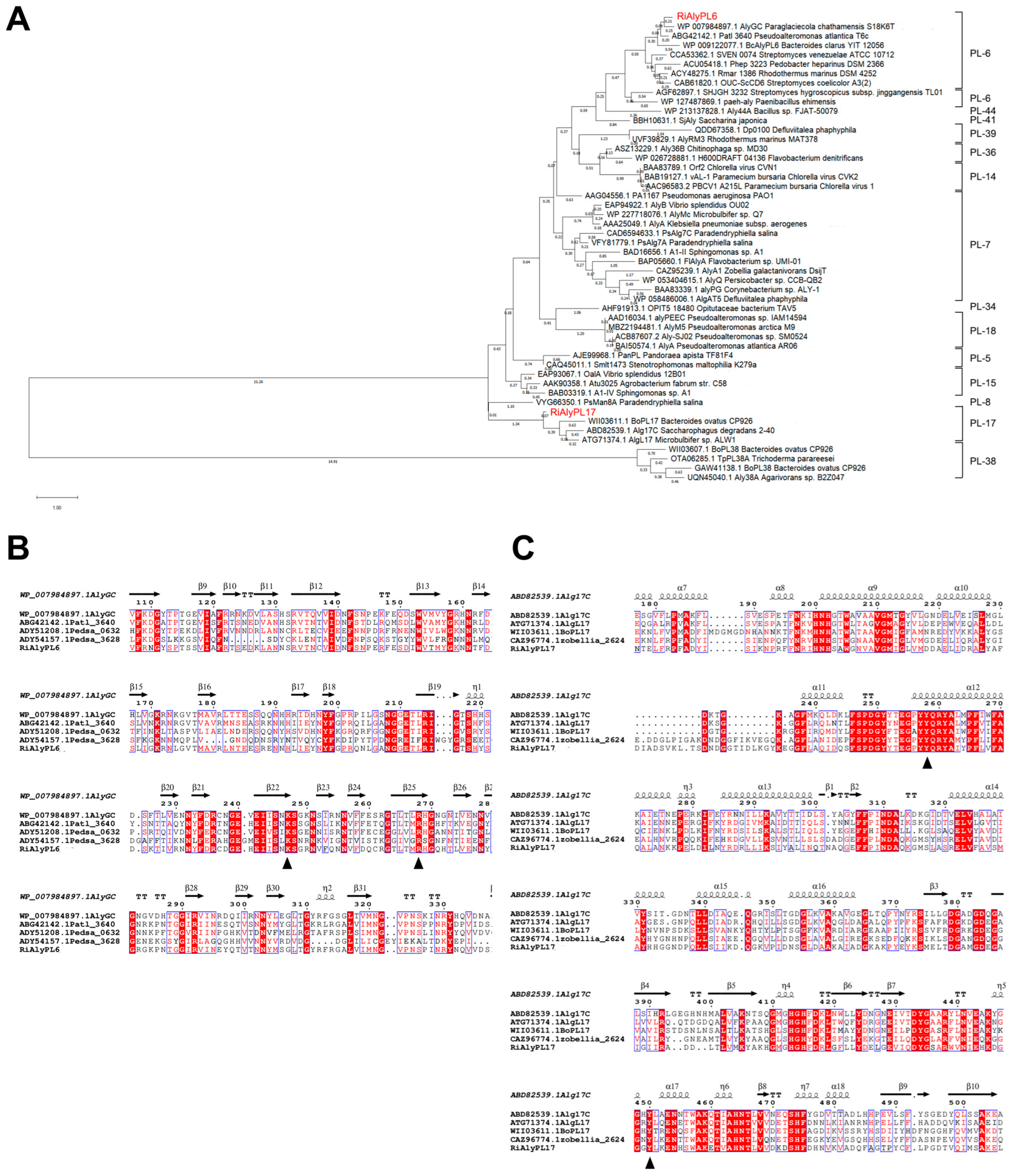 Marinedrugs 23 00334 g004