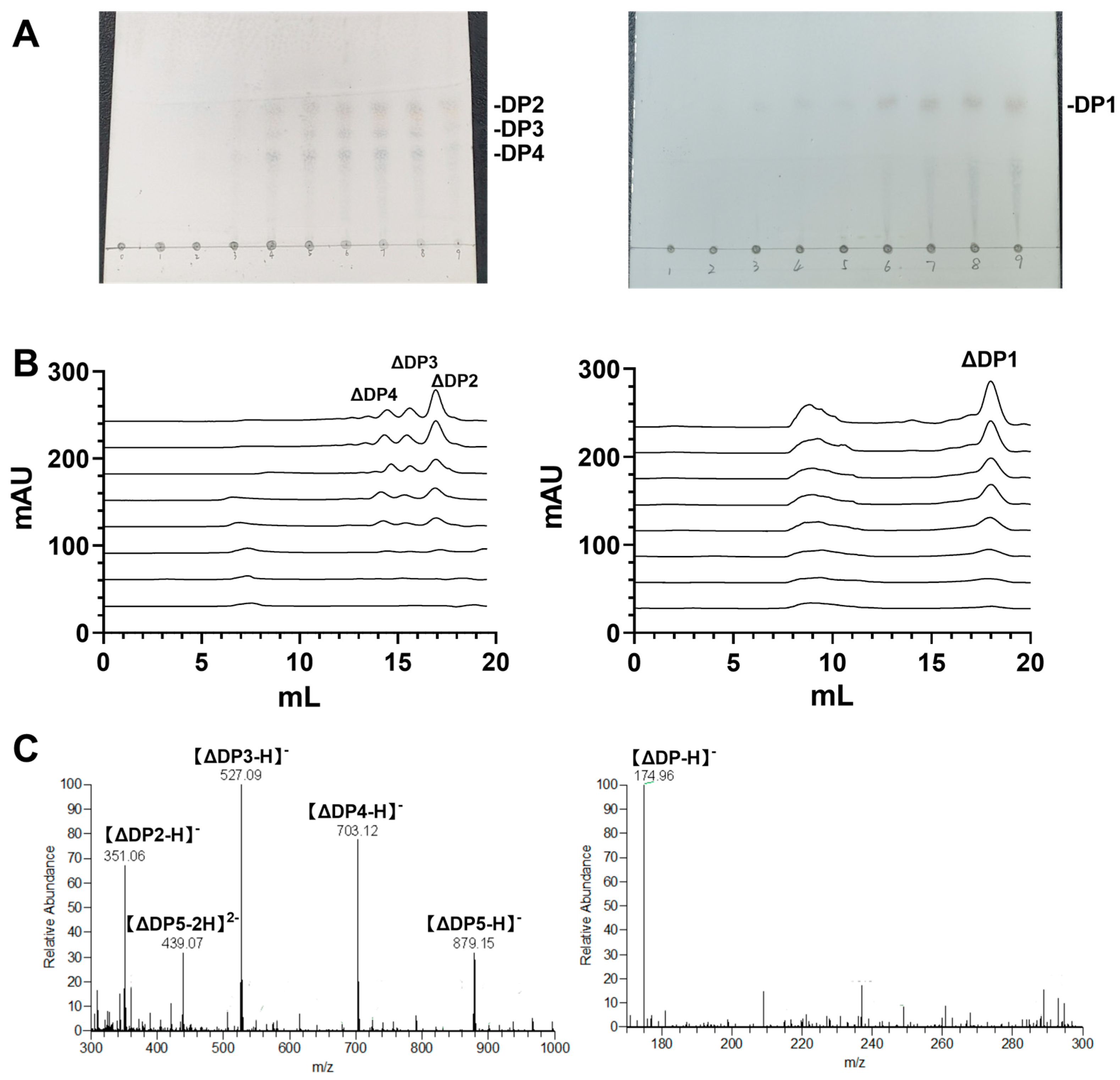 Marinedrugs 23 00334 g008