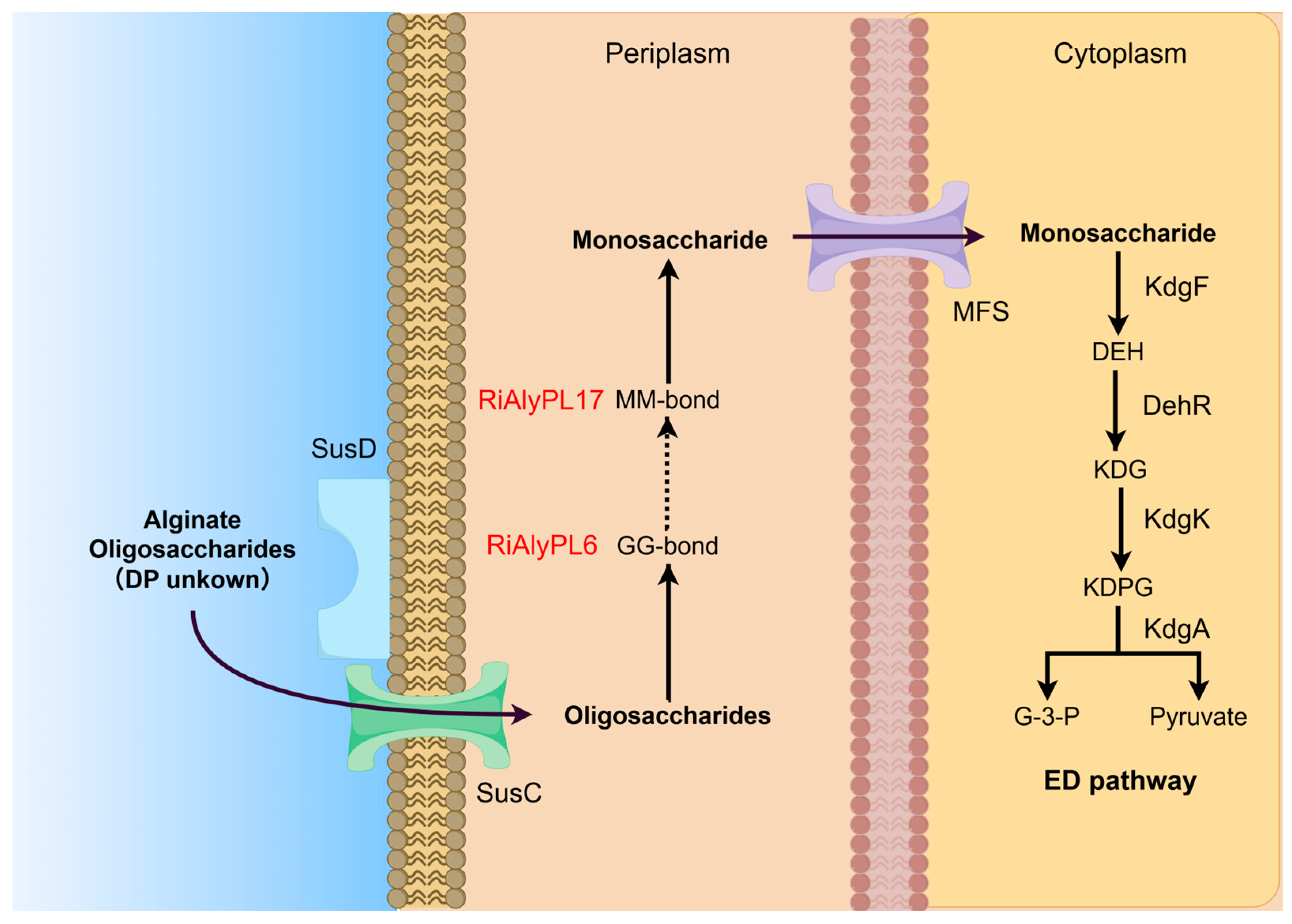 Marinedrugs 23 00334 g009