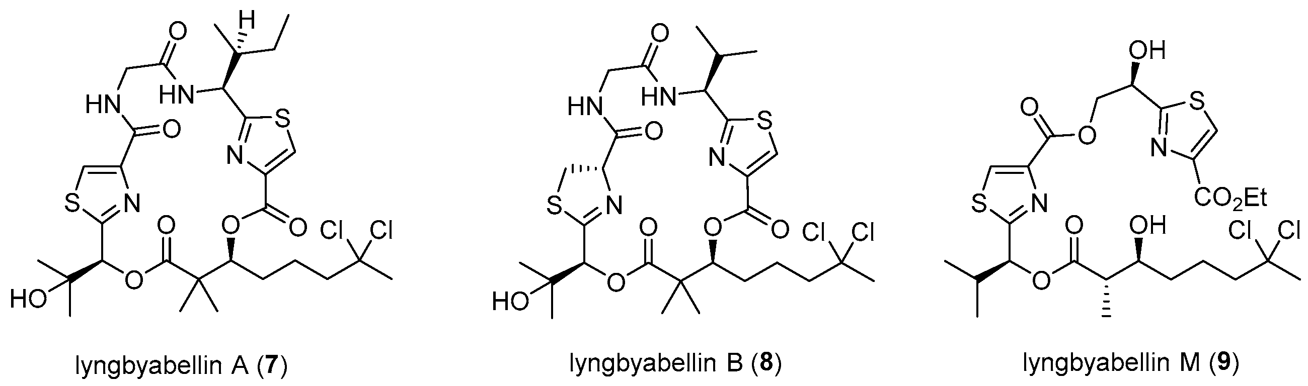 Marinedrugs 23 00340 g002