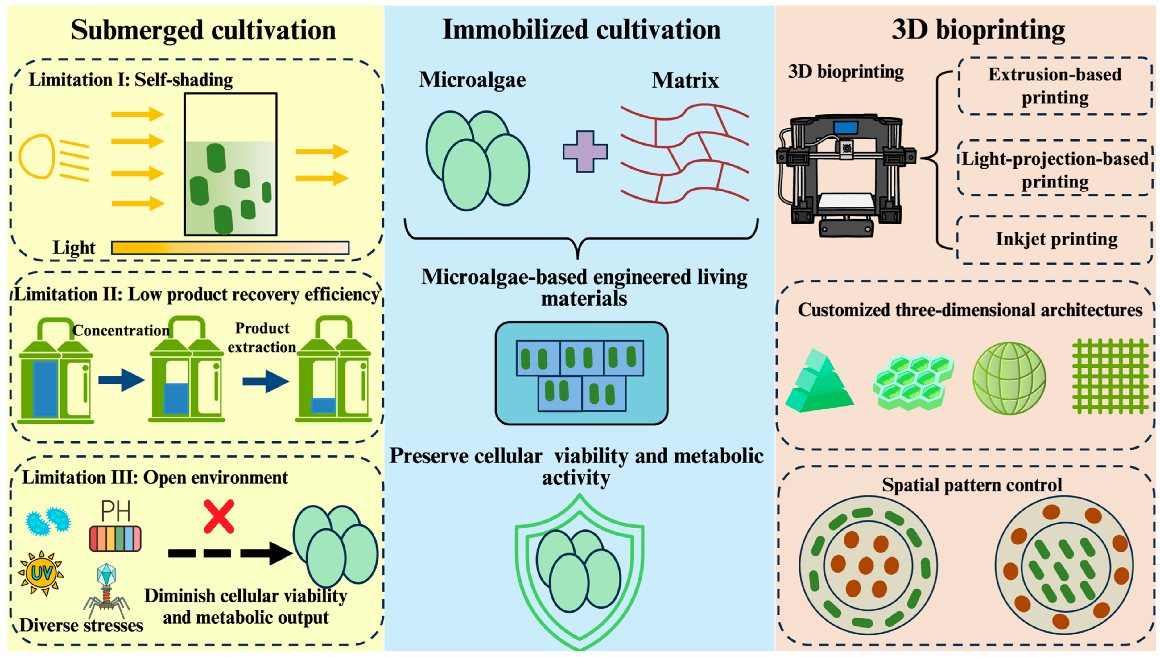 Marinedrugs 23 00342 g001 Marinedrugs 23 00342 g001