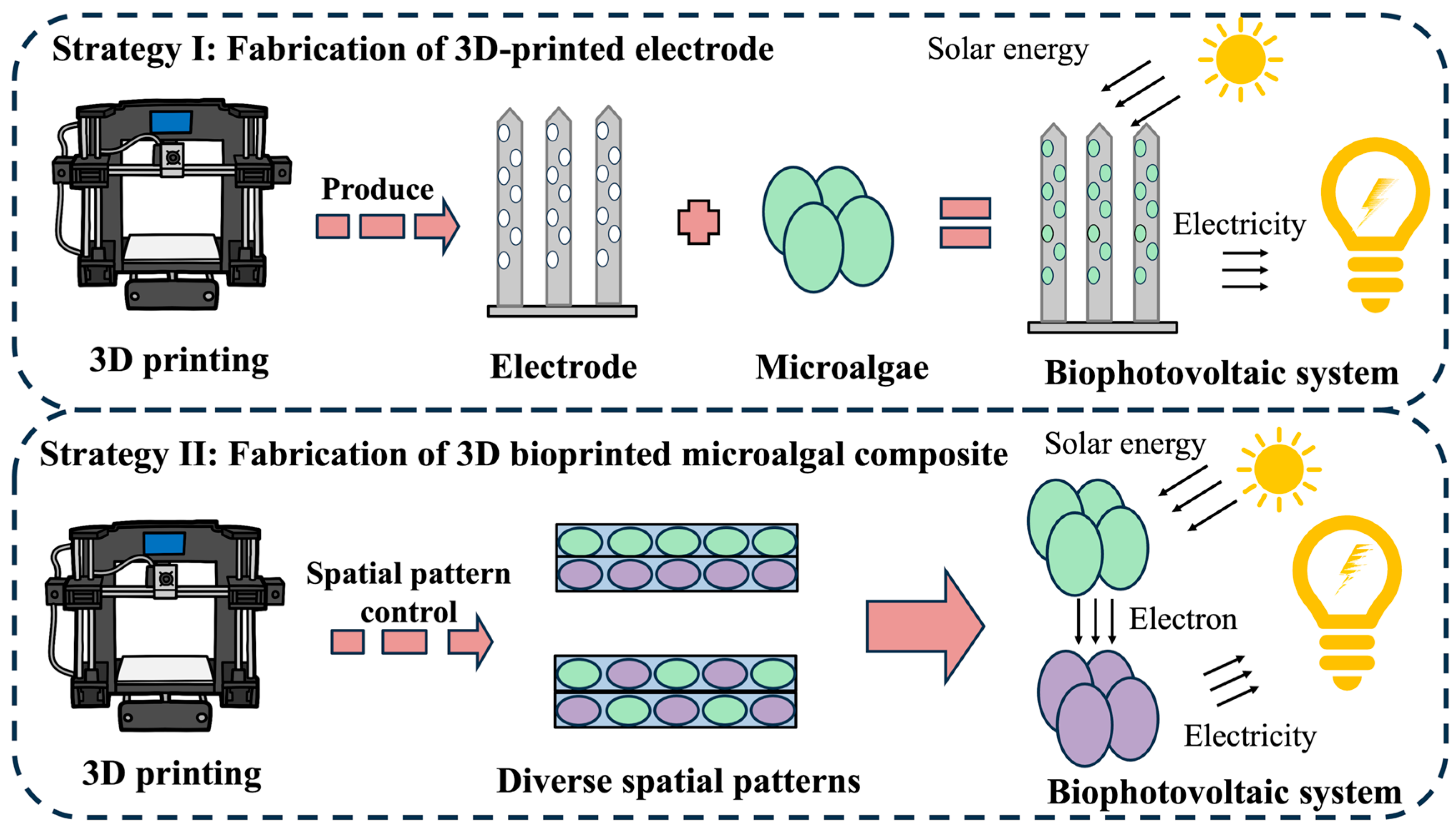 Marinedrugs 23 00342 g004 Marinedrugs 23 00342 g004