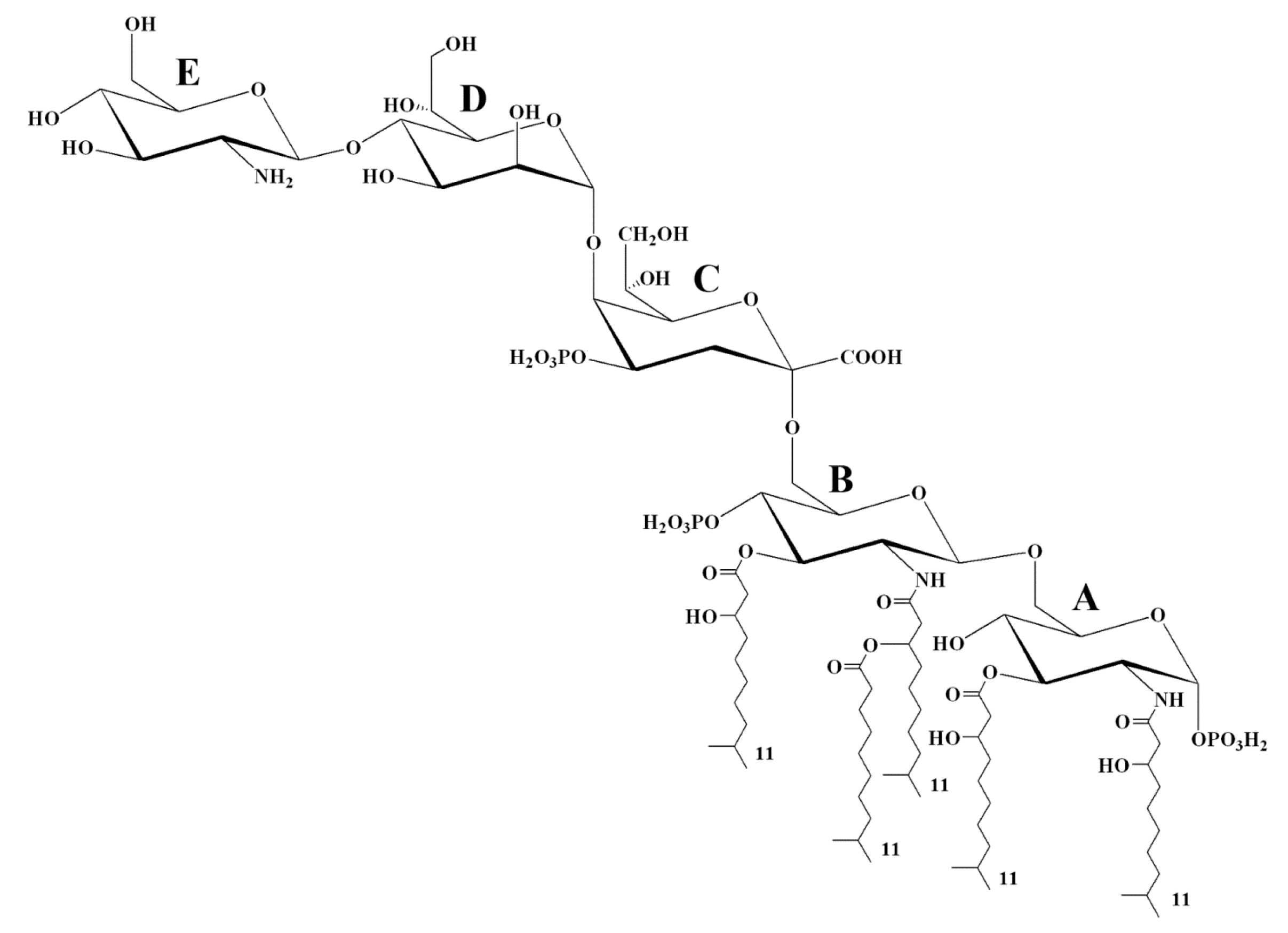 Marinedrugs 23 00345 g007 Marinedrugs 23 00345 g007