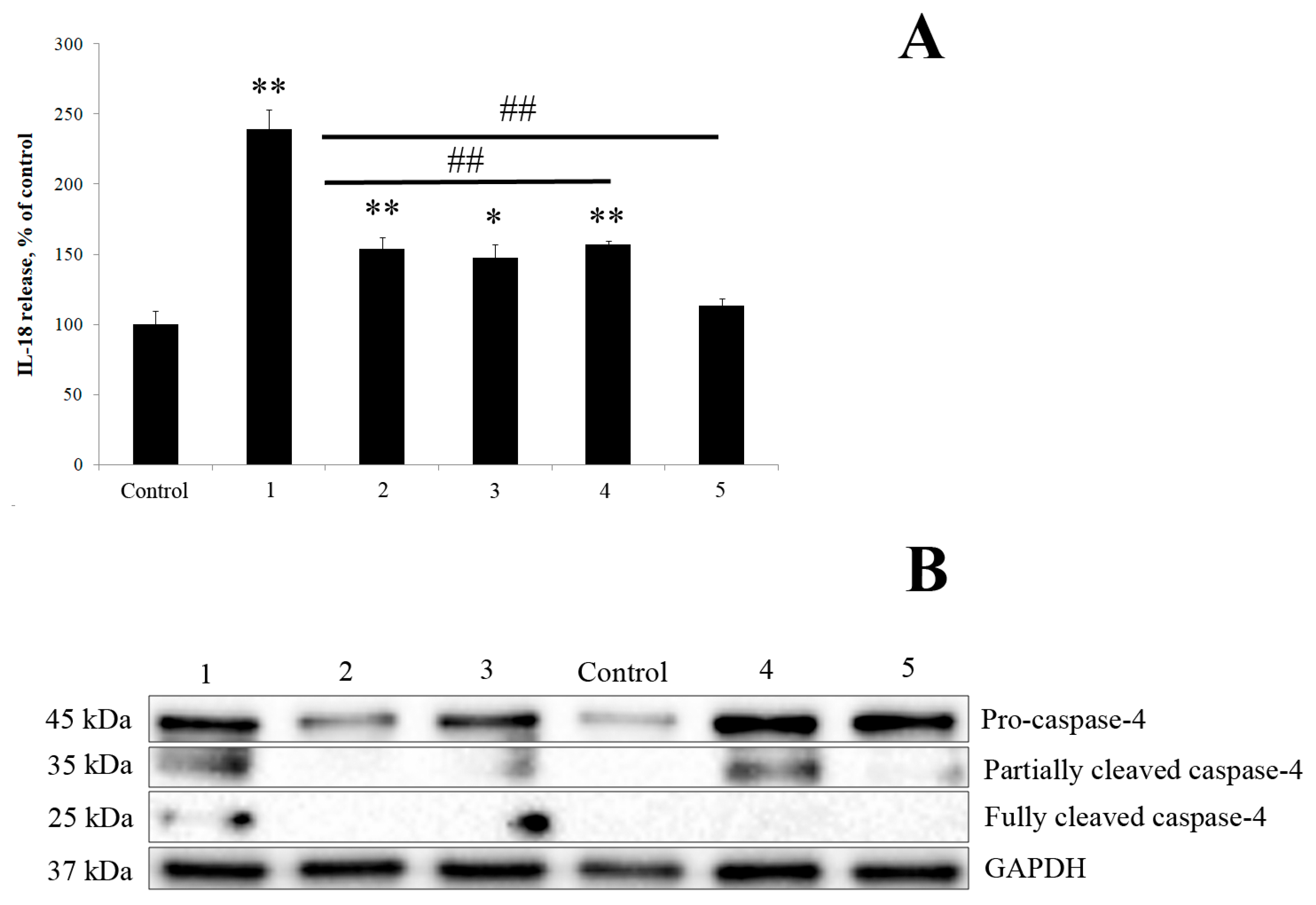 Marinedrugs 23 00345 g009 Marinedrugs 23 00345 g009