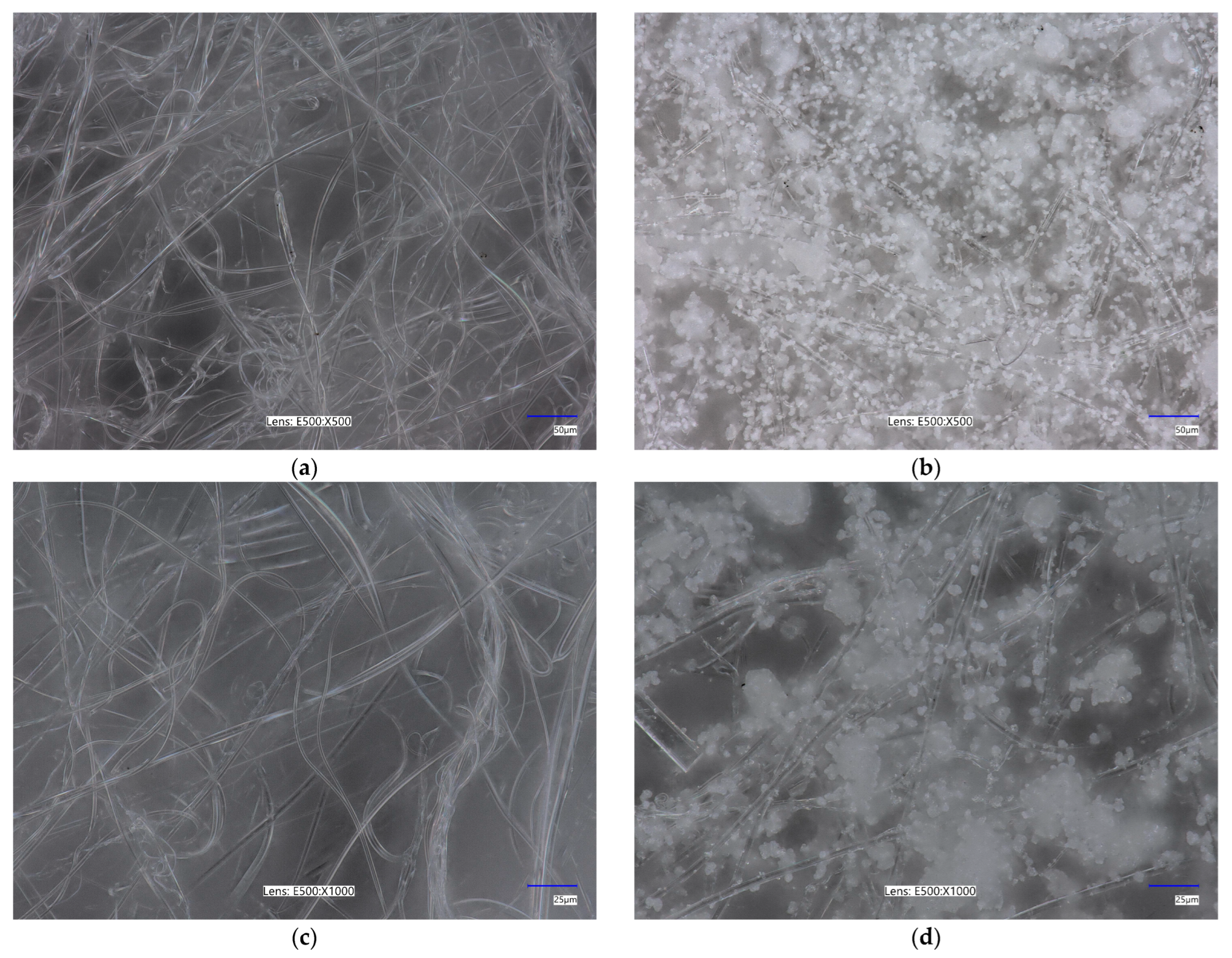 Marinedrugs 23 00349 g001