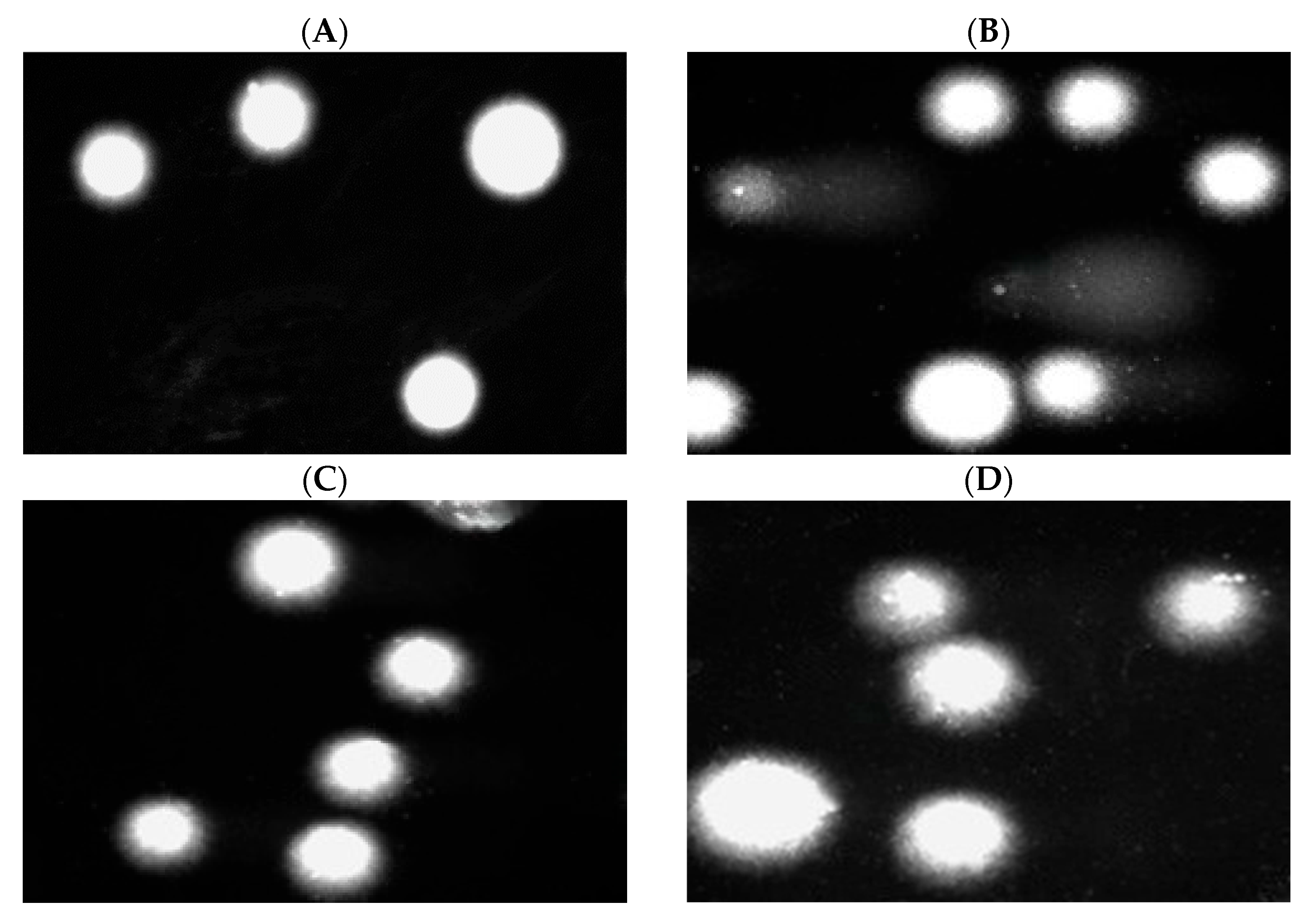 Marinedrugs 23 00349 g008