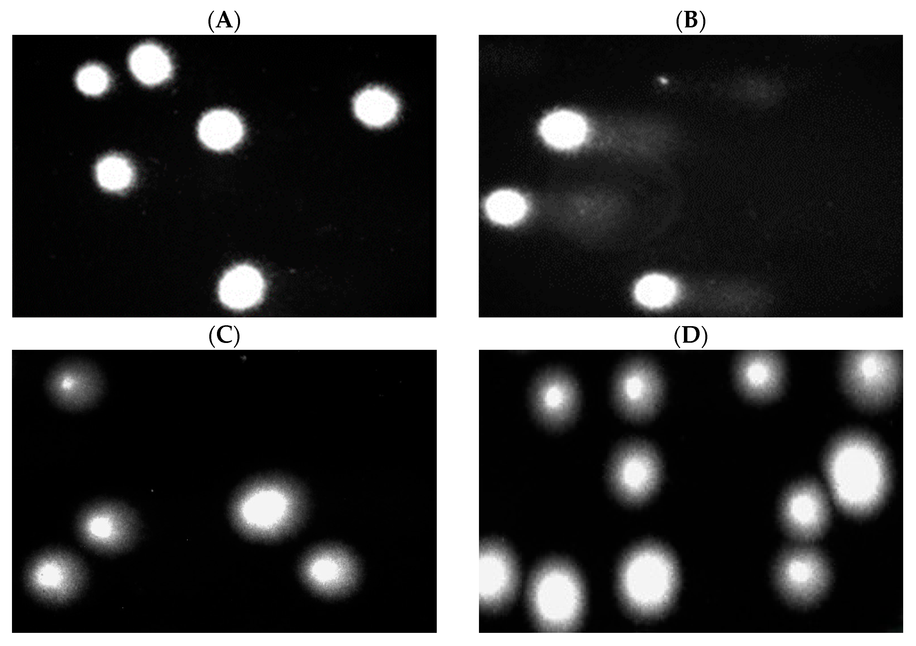 Marinedrugs 23 00349 g009