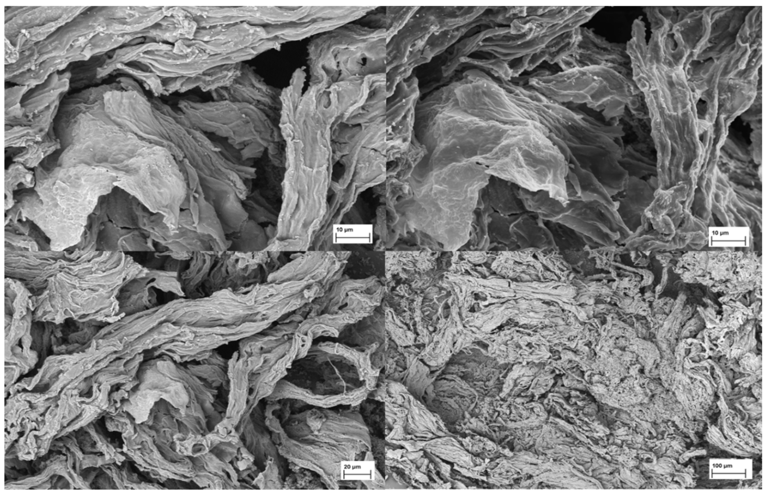 Marinedrugs 23 00351 g006 Marinedrugs 23 00351 g006