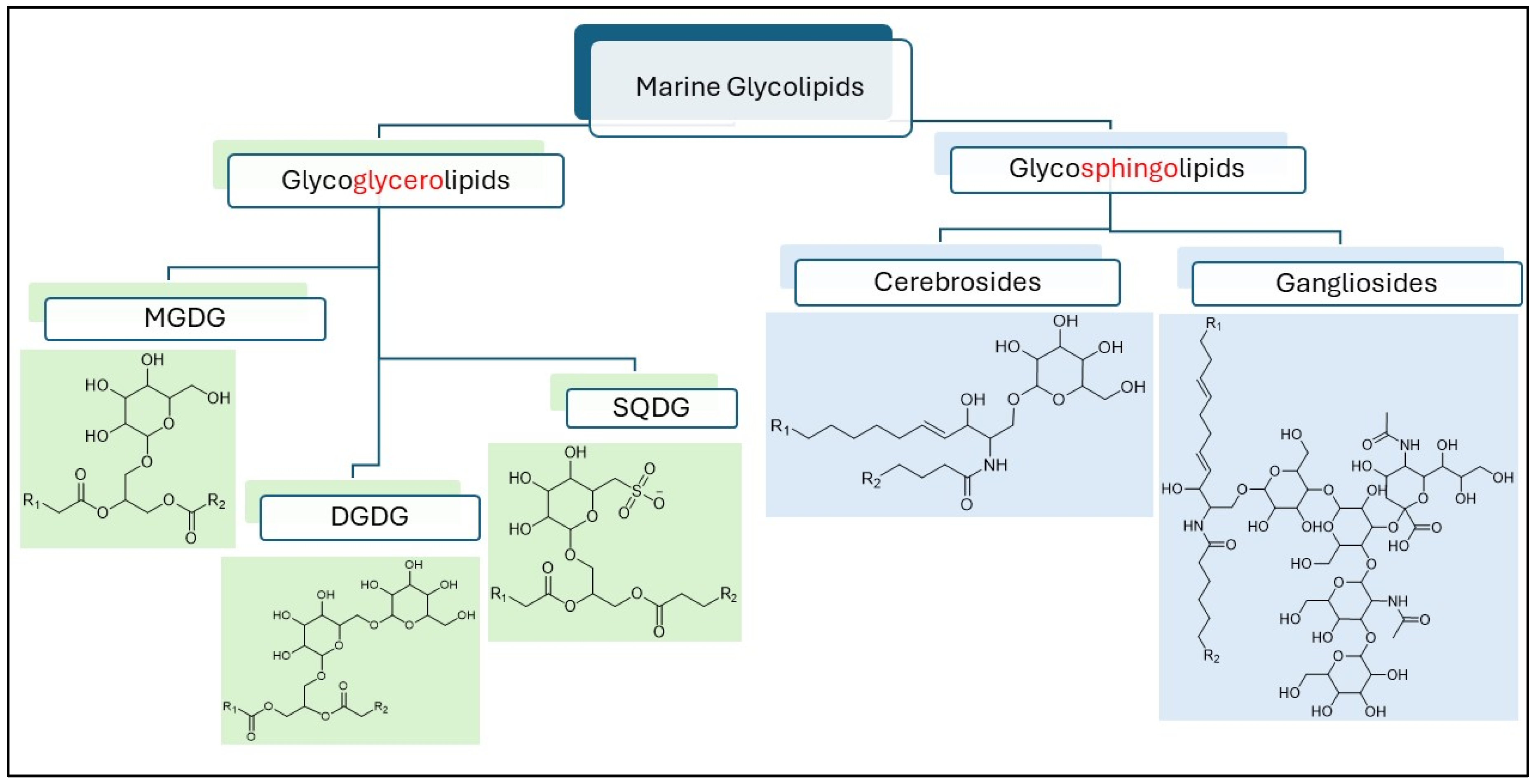 Marinedrugs 23 00352 g001 Marinedrugs 23 00352 g001