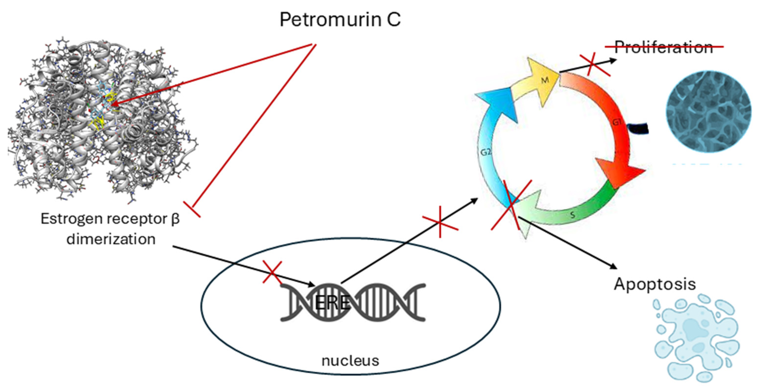Marinedrugs 23 00353 g013