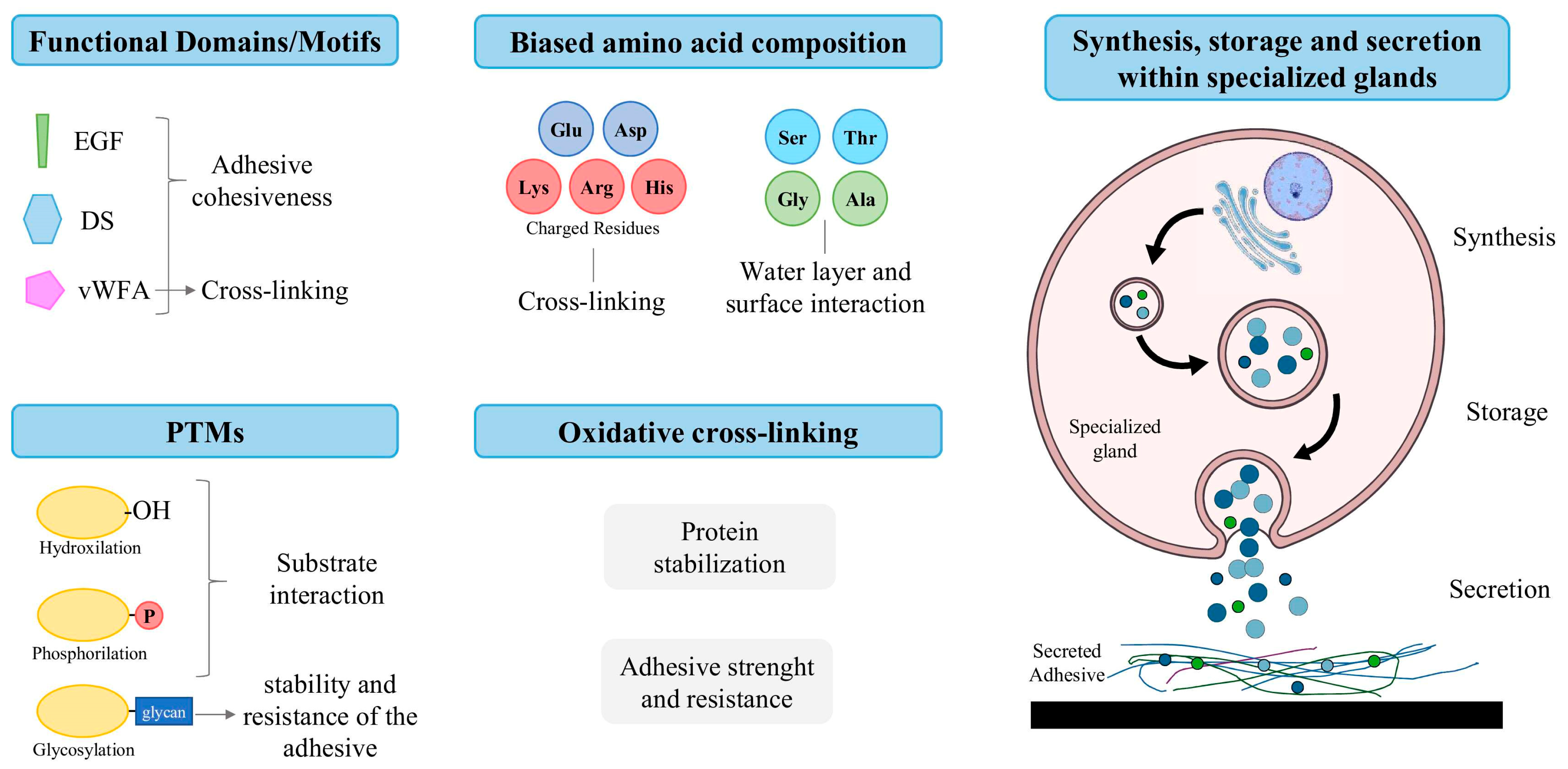 Marinedrugs 23 00363 g001 Marinedrugs 23 00363 g001