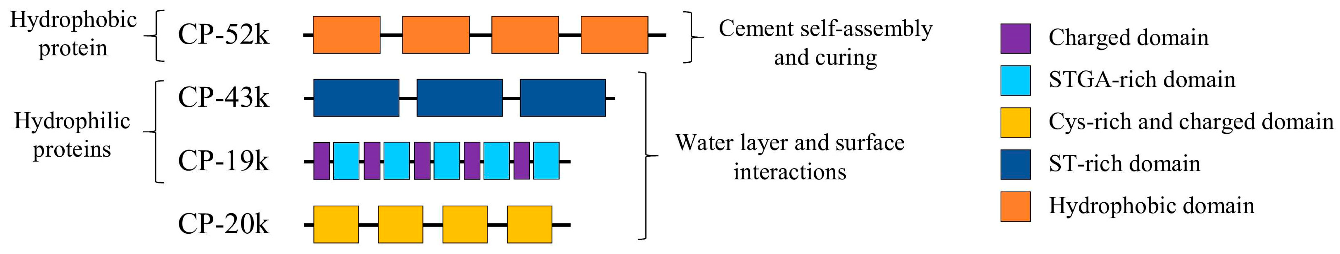 Marinedrugs 23 00363 g002 Marinedrugs 23 00363 g002