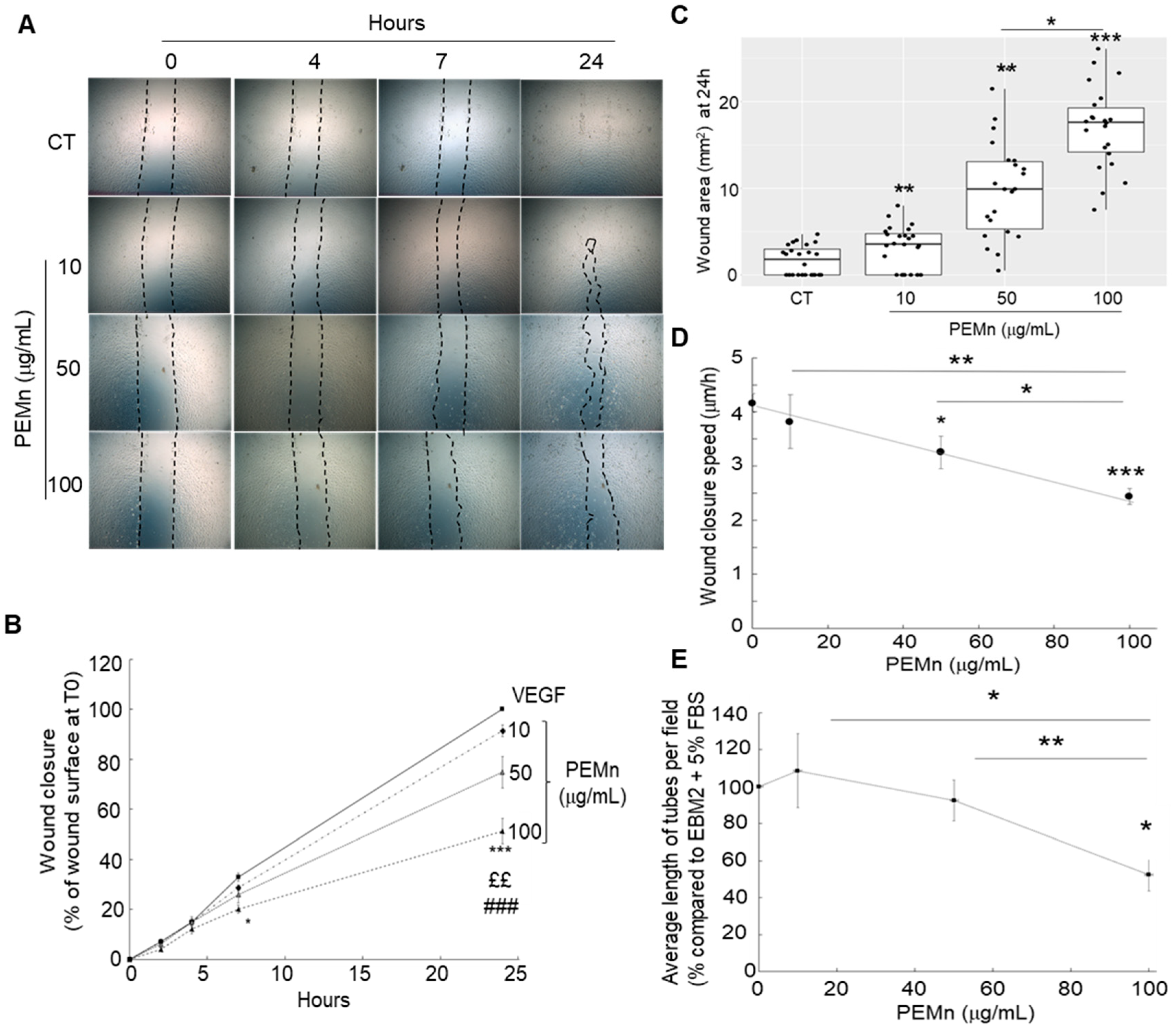 Marinedrugs 23 00364 g005 Marinedrugs 23 00364 g005