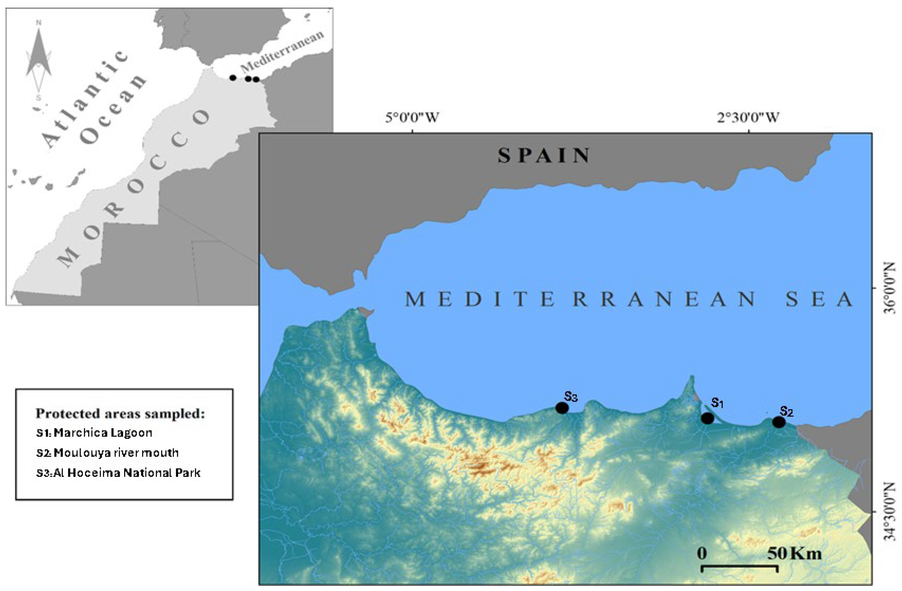 Marinedrugs 23 00367 g005