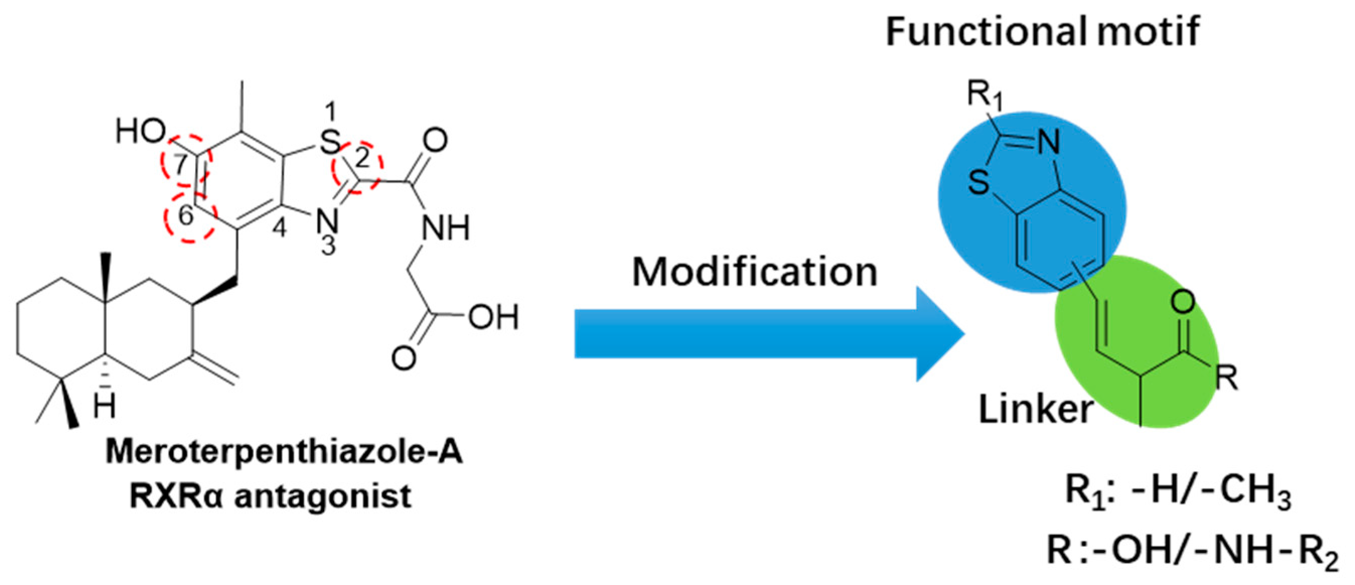 Marinedrugs 23 00368 g001 Marinedrugs 23 00368 g001