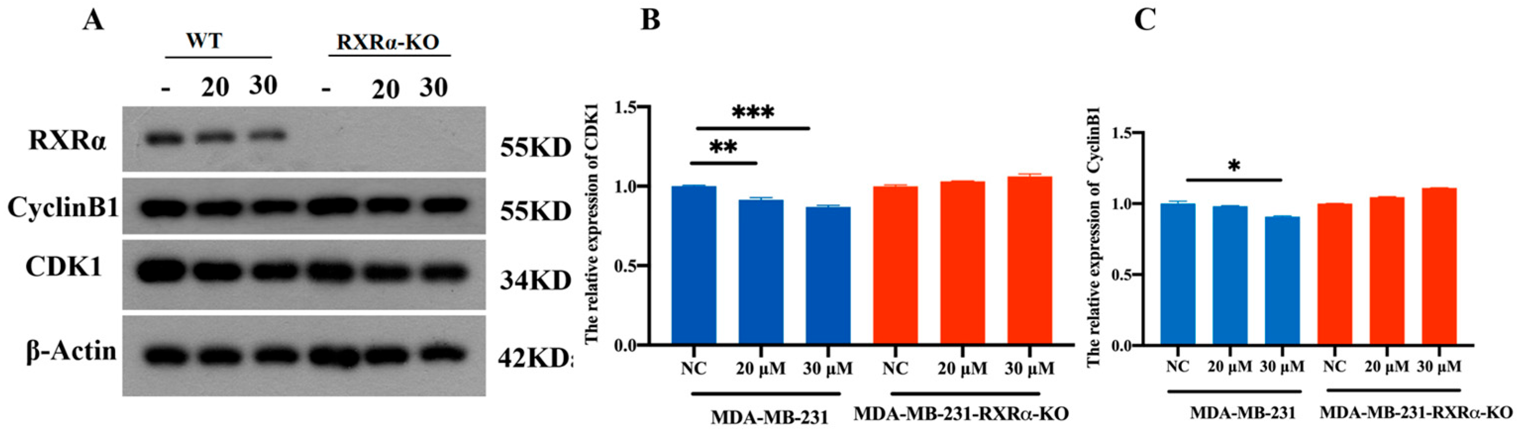Marinedrugs 23 00368 g006 Marinedrugs 23 00368 g006