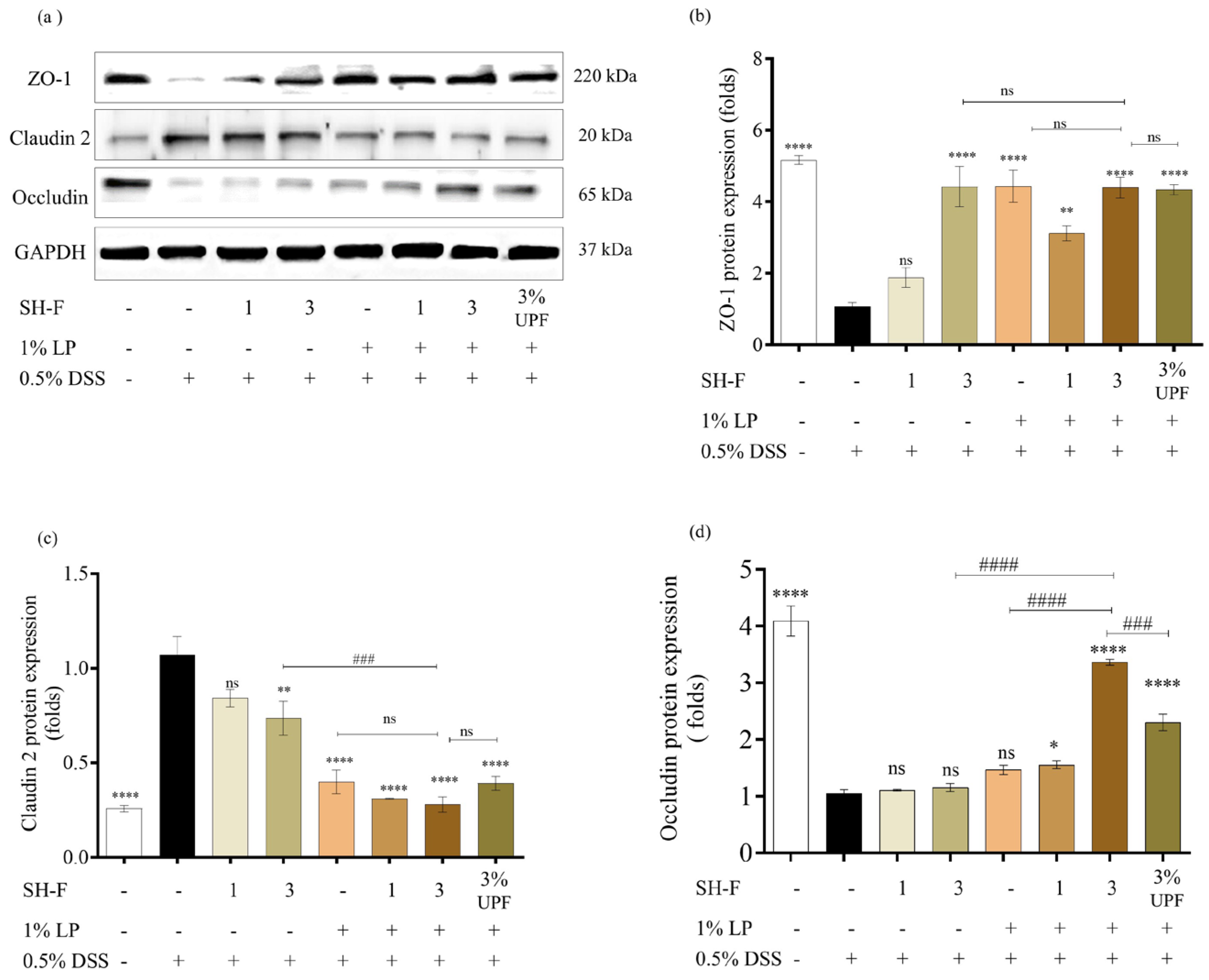 Marinedrugs 23 00372 g004