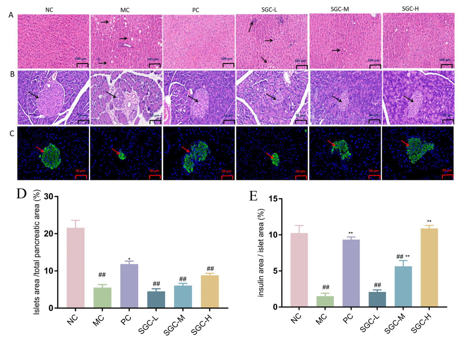Marinedrugs 23 00374 g007 Marinedrugs 23 00374 g007