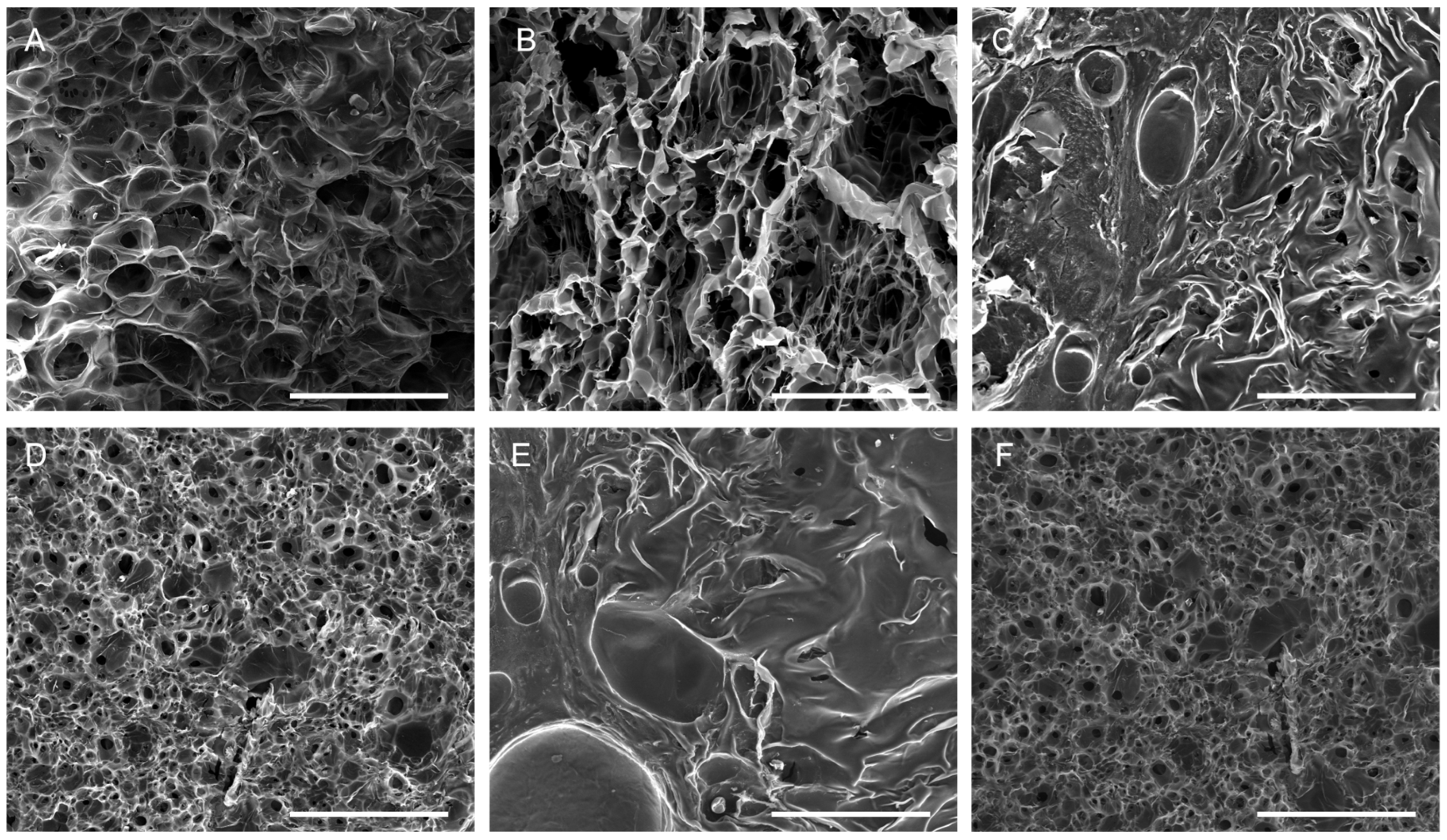 Marinedrugs 23 00375 g005 Marinedrugs 23 00375 g005