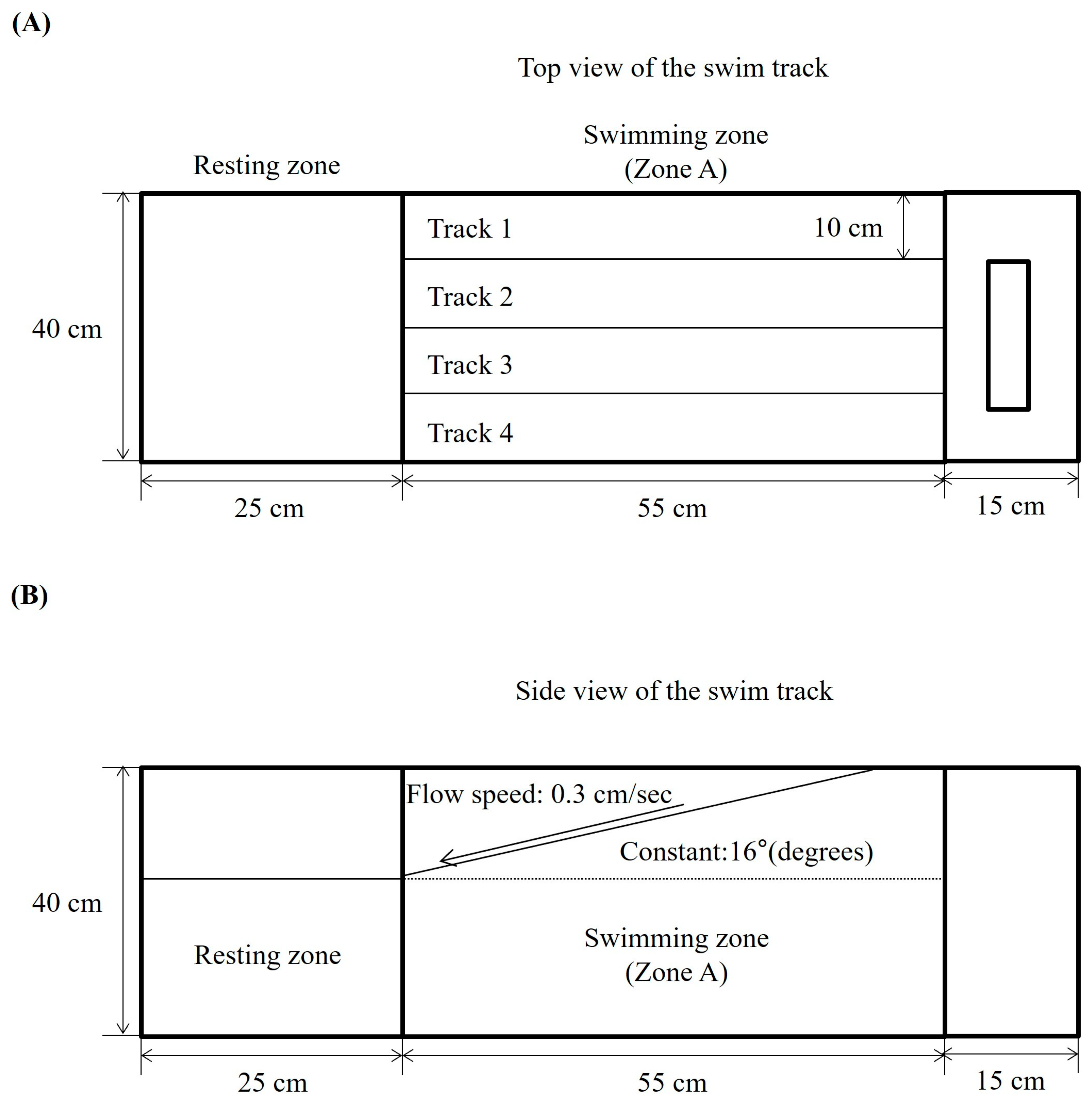 Marinedrugs 23 00376 g001 Marinedrugs 23 00376 g001