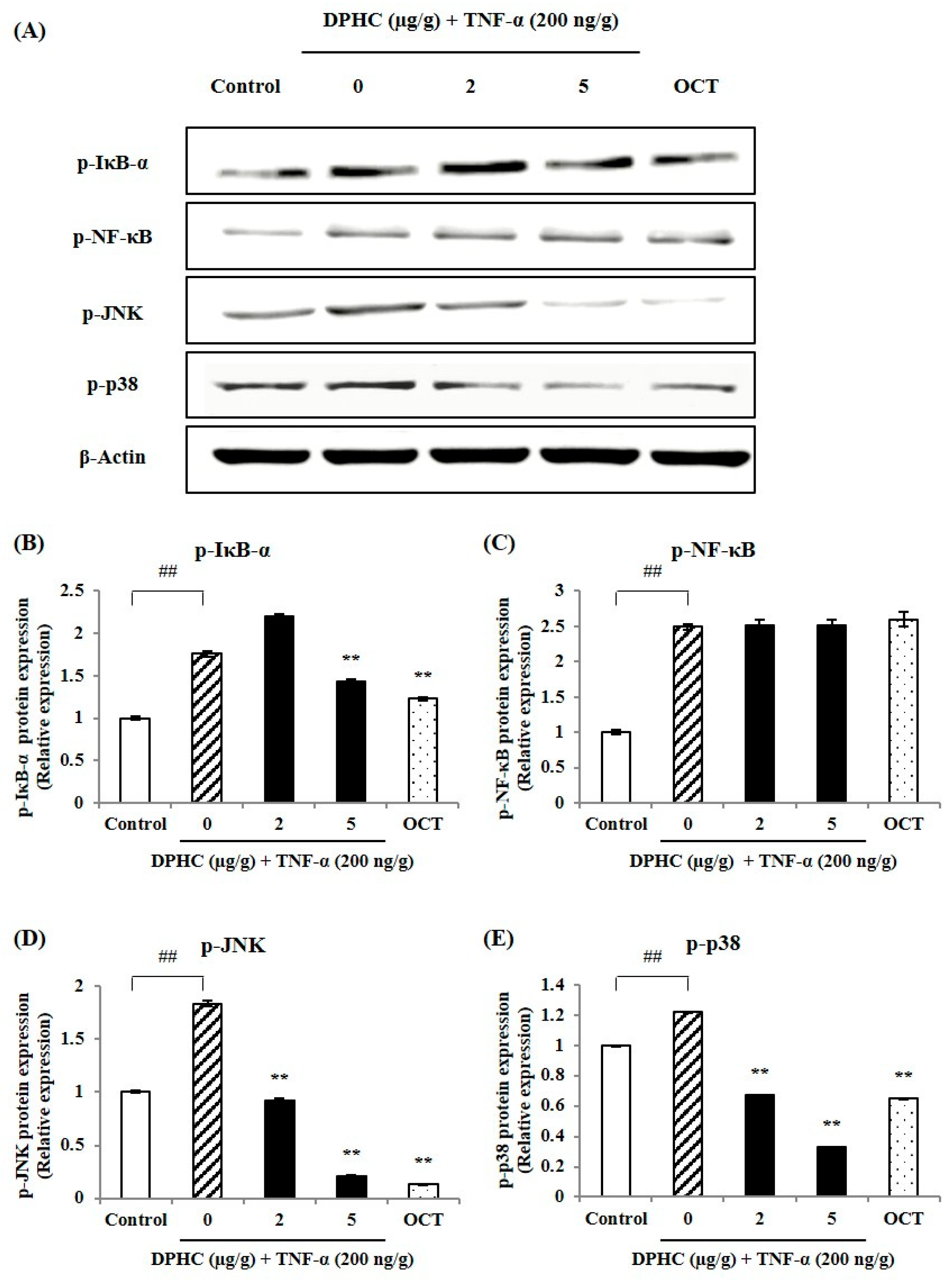 Marinedrugs 23 00376 g003 Marinedrugs 23 00376 g003