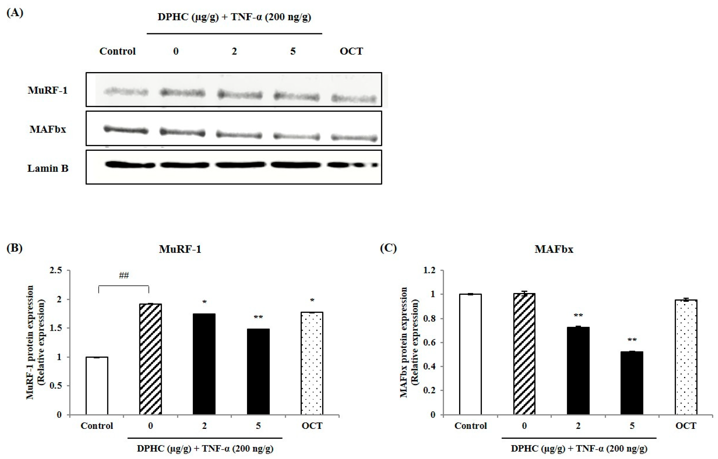 Marinedrugs 23 00376 g004 Marinedrugs 23 00376 g004