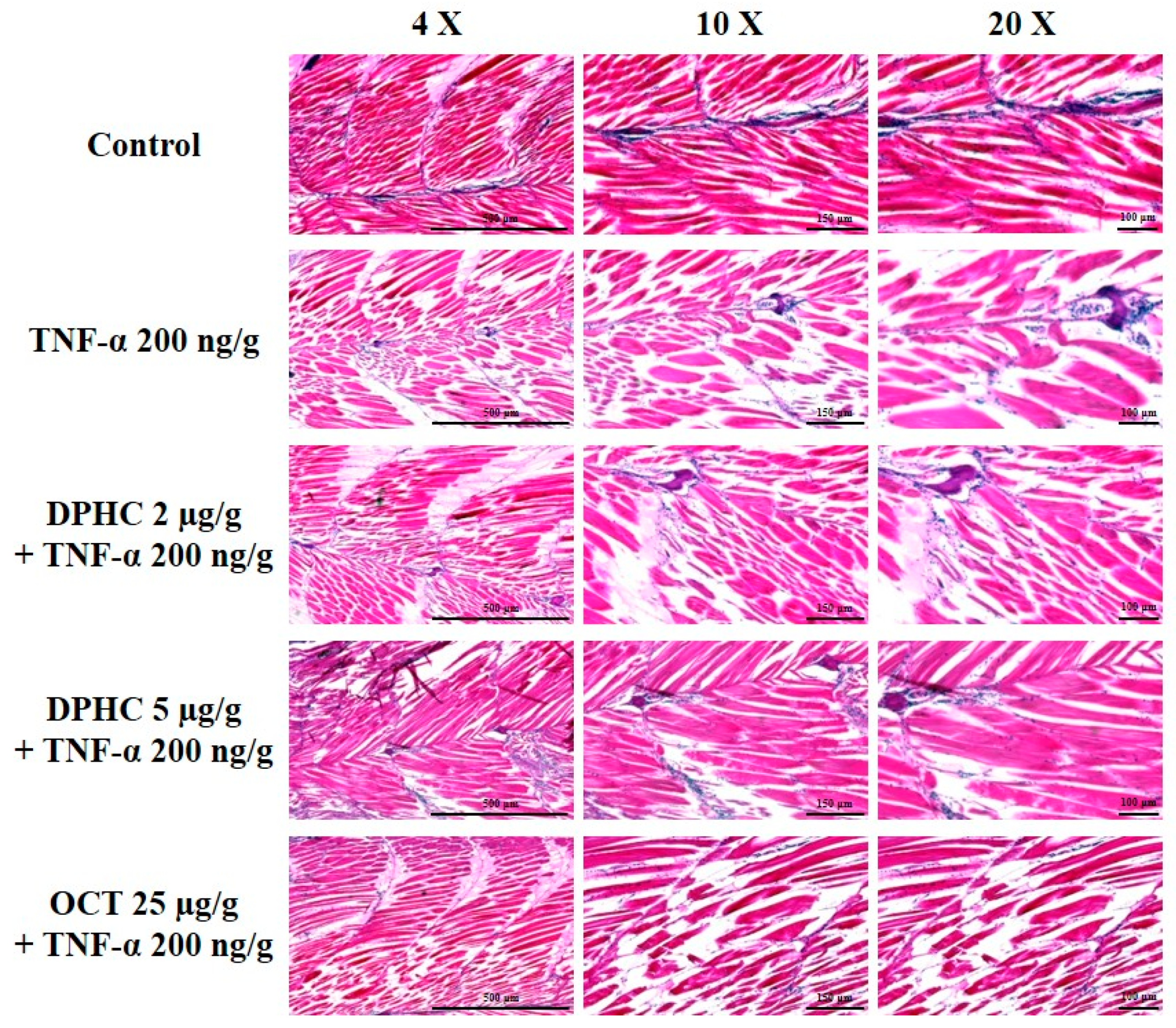 Marinedrugs 23 00376 g005 Marinedrugs 23 00376 g005