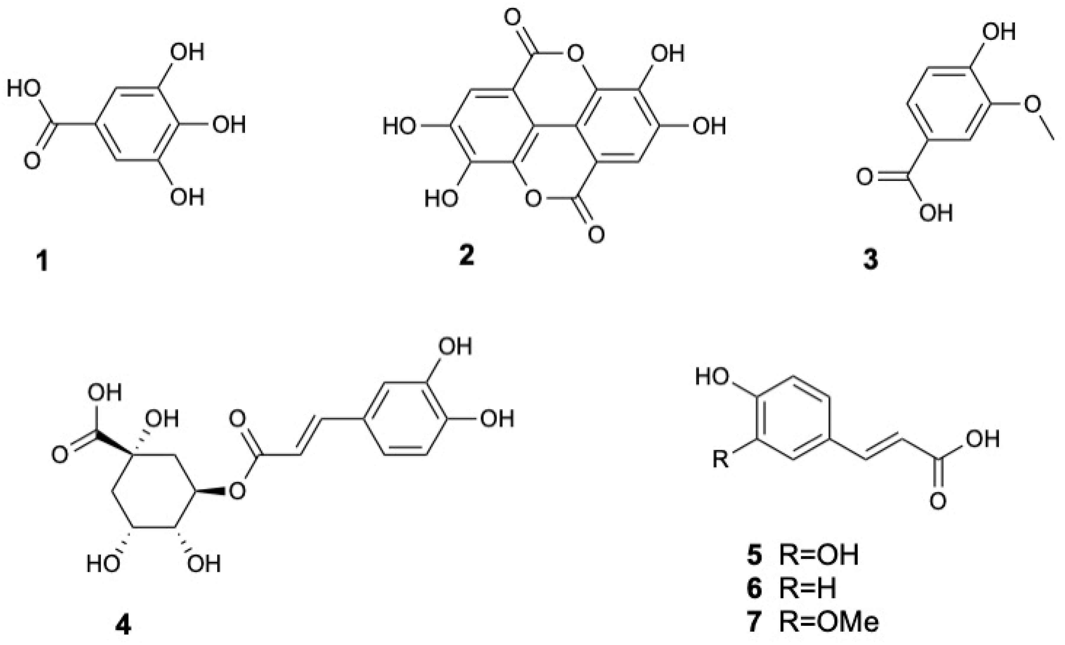 Marinedrugs 23 00378 g002 Marinedrugs 23 00378 g002
