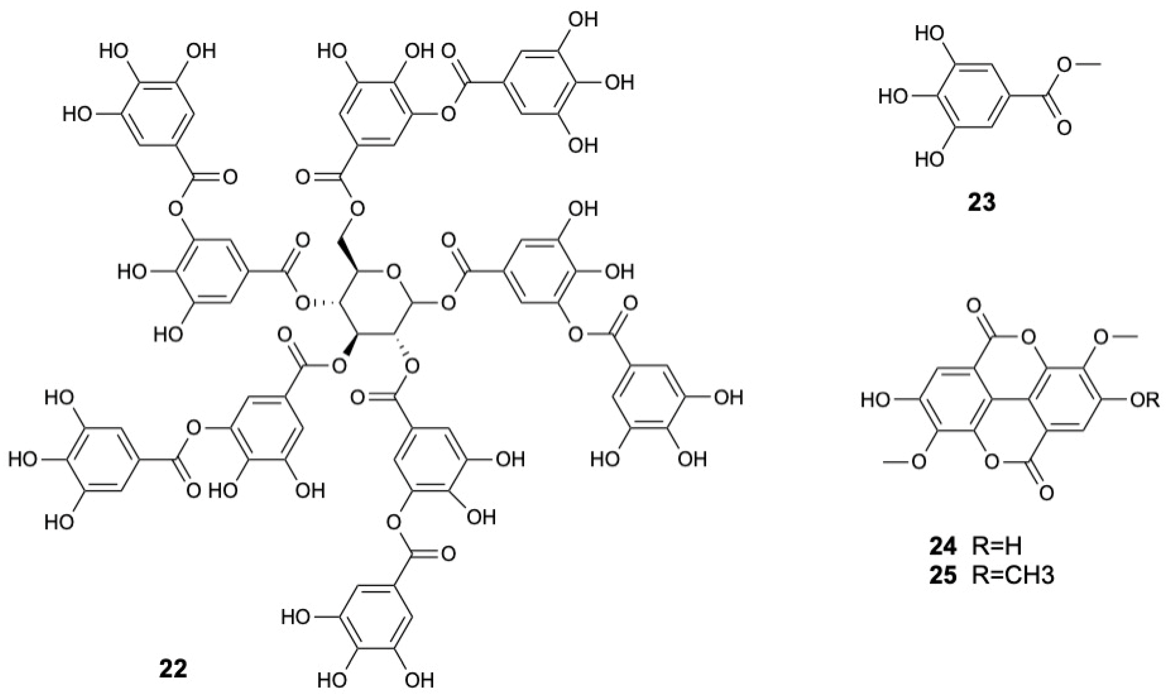 Marinedrugs 23 00378 g004 Marinedrugs 23 00378 g004