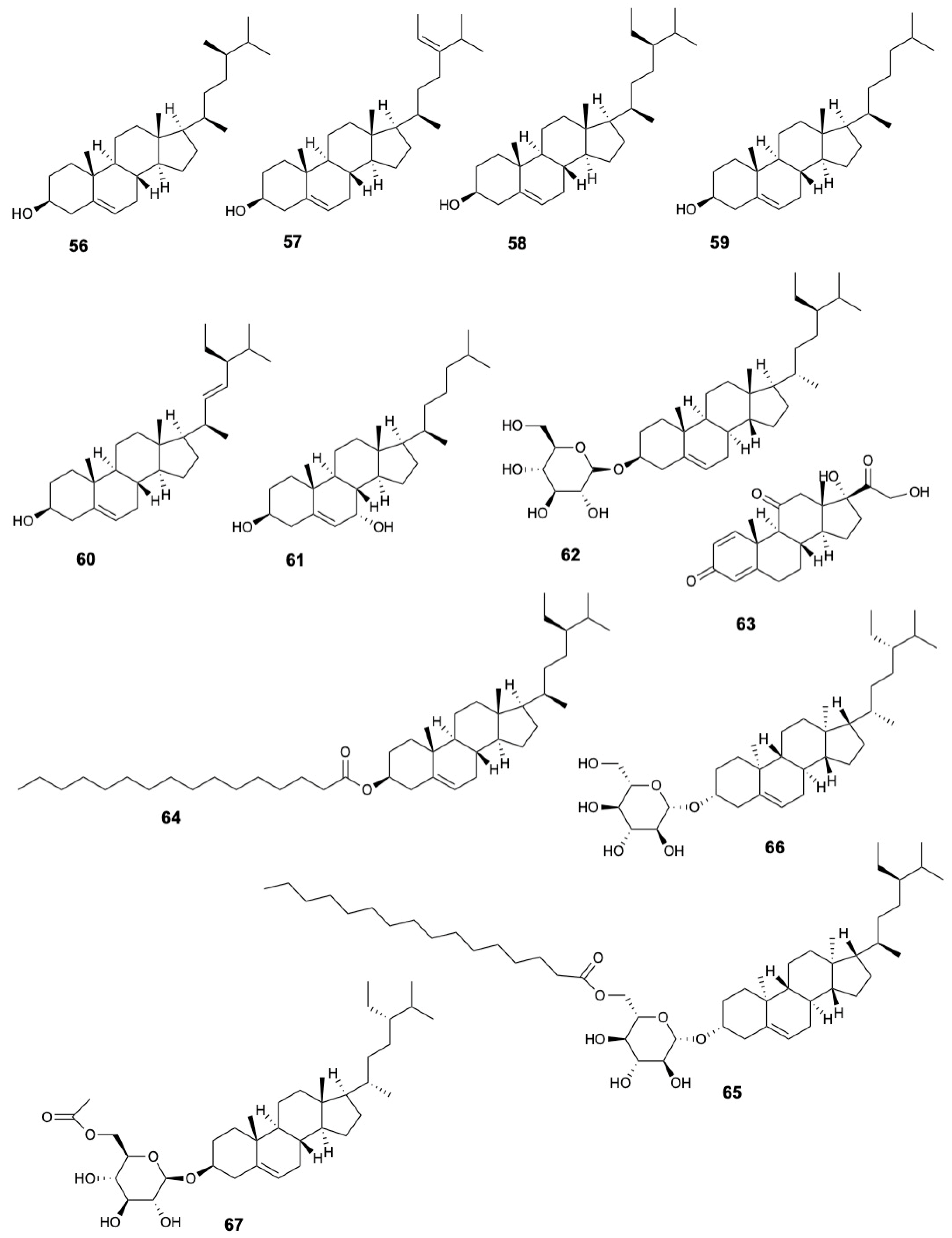 Marinedrugs 23 00378 g006 Marinedrugs 23 00378 g006