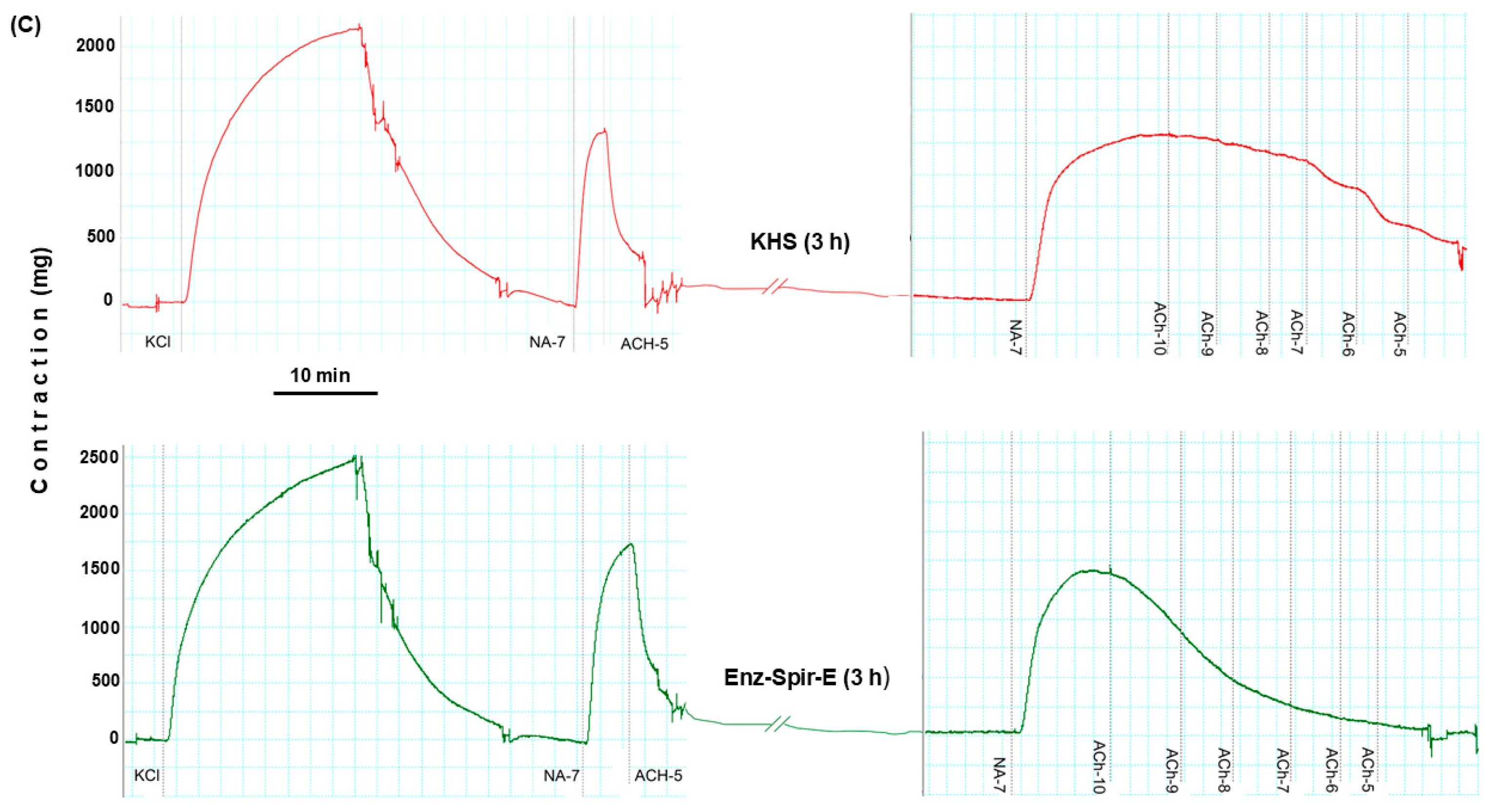 Marinedrugs 23 00395 g001b Marinedrugs 23 00395 g001b