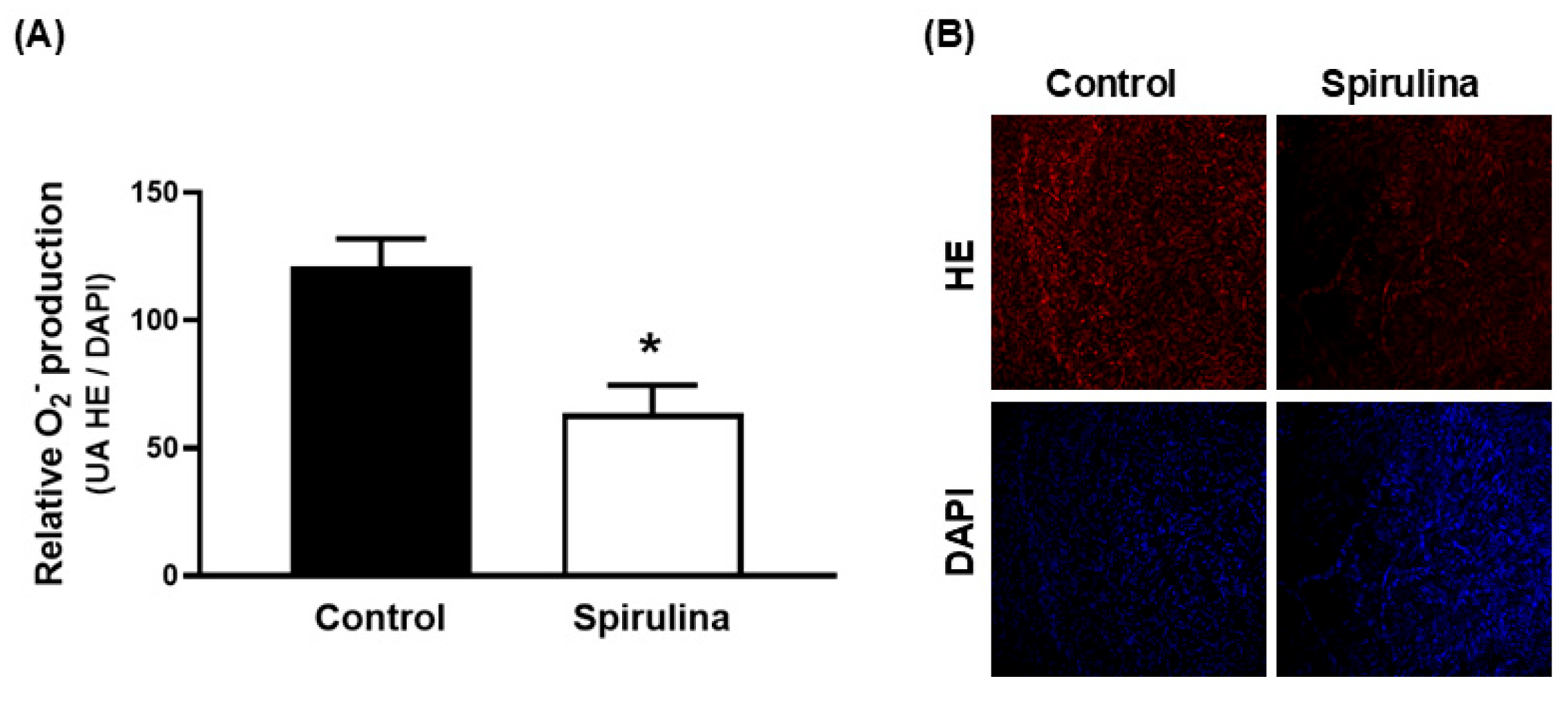 Marinedrugs 23 00395 g006 Marinedrugs 23 00395 g006